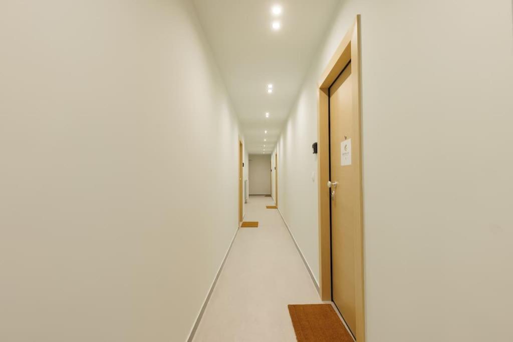 Snug studio apartment with shared garden IV