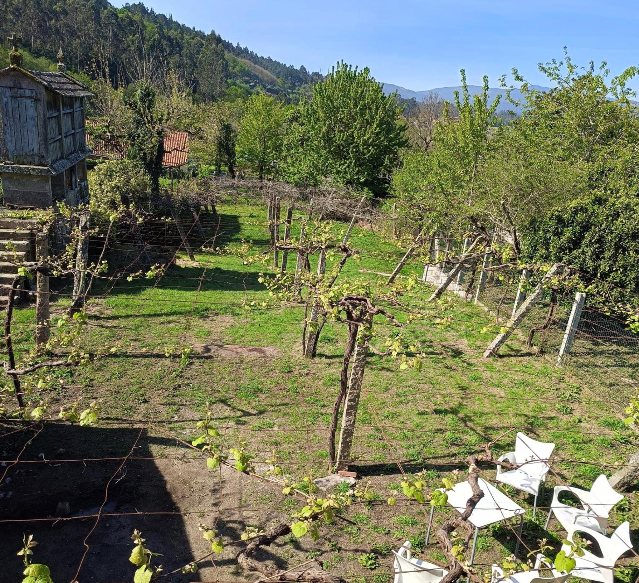 Pensión Rural para Peregrinos "AREAL" photo 4