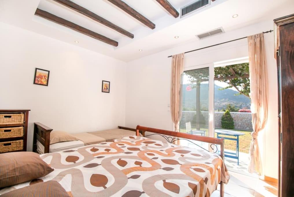 Villa Olympos Ladiko