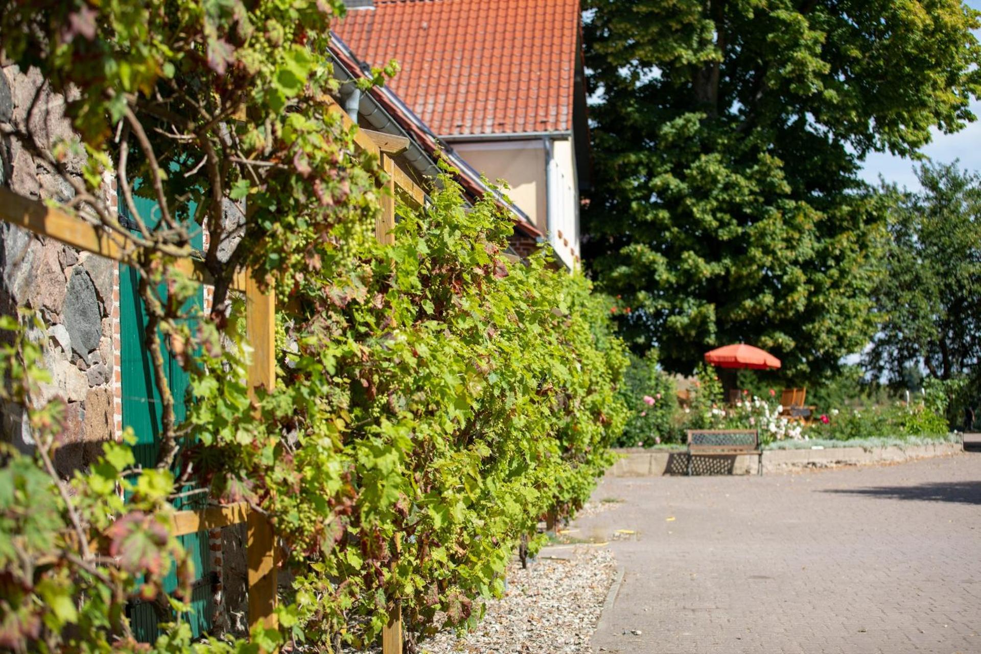 Landurlaub auf dem Mellenhof