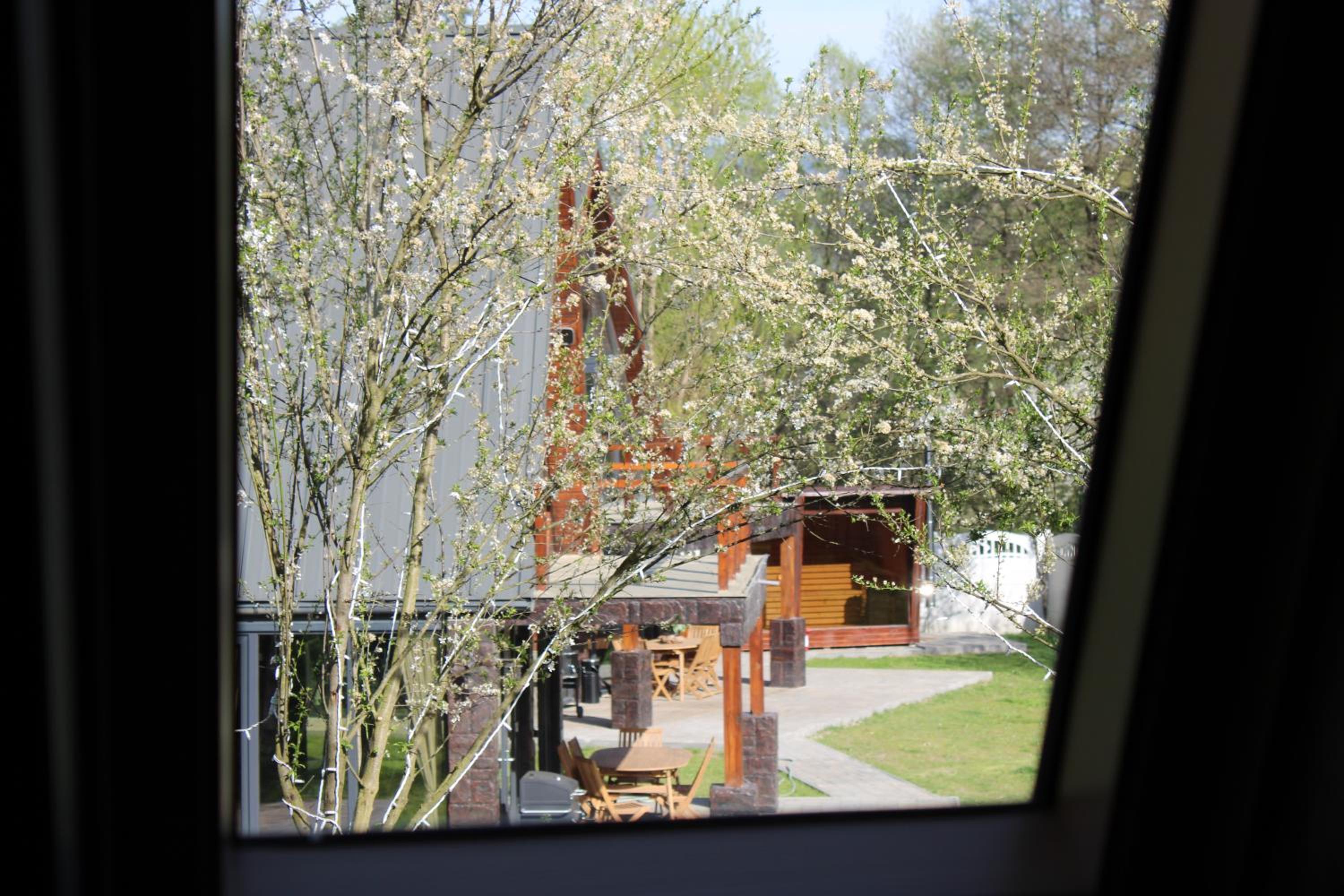 Photo 52