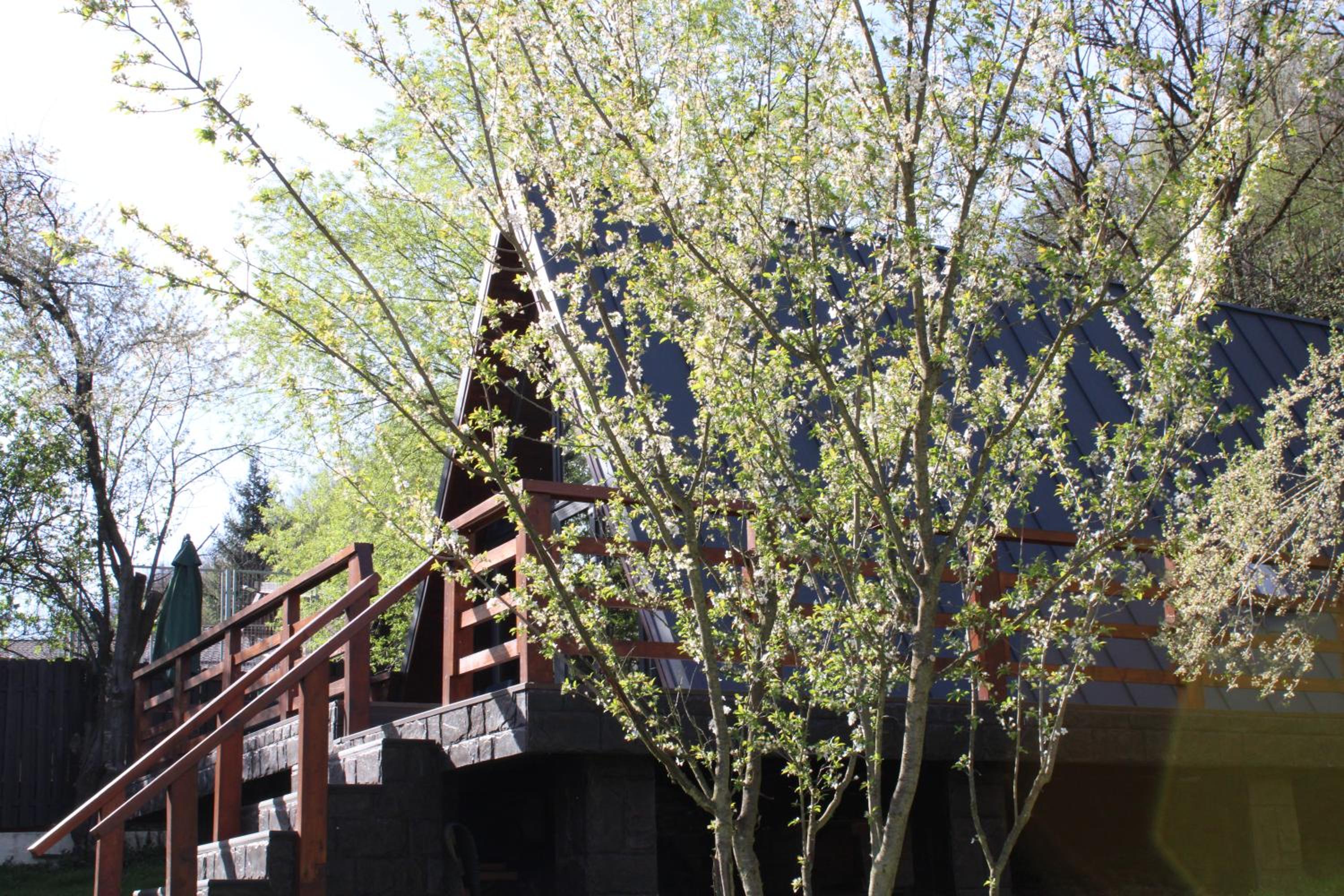 Photo 45
