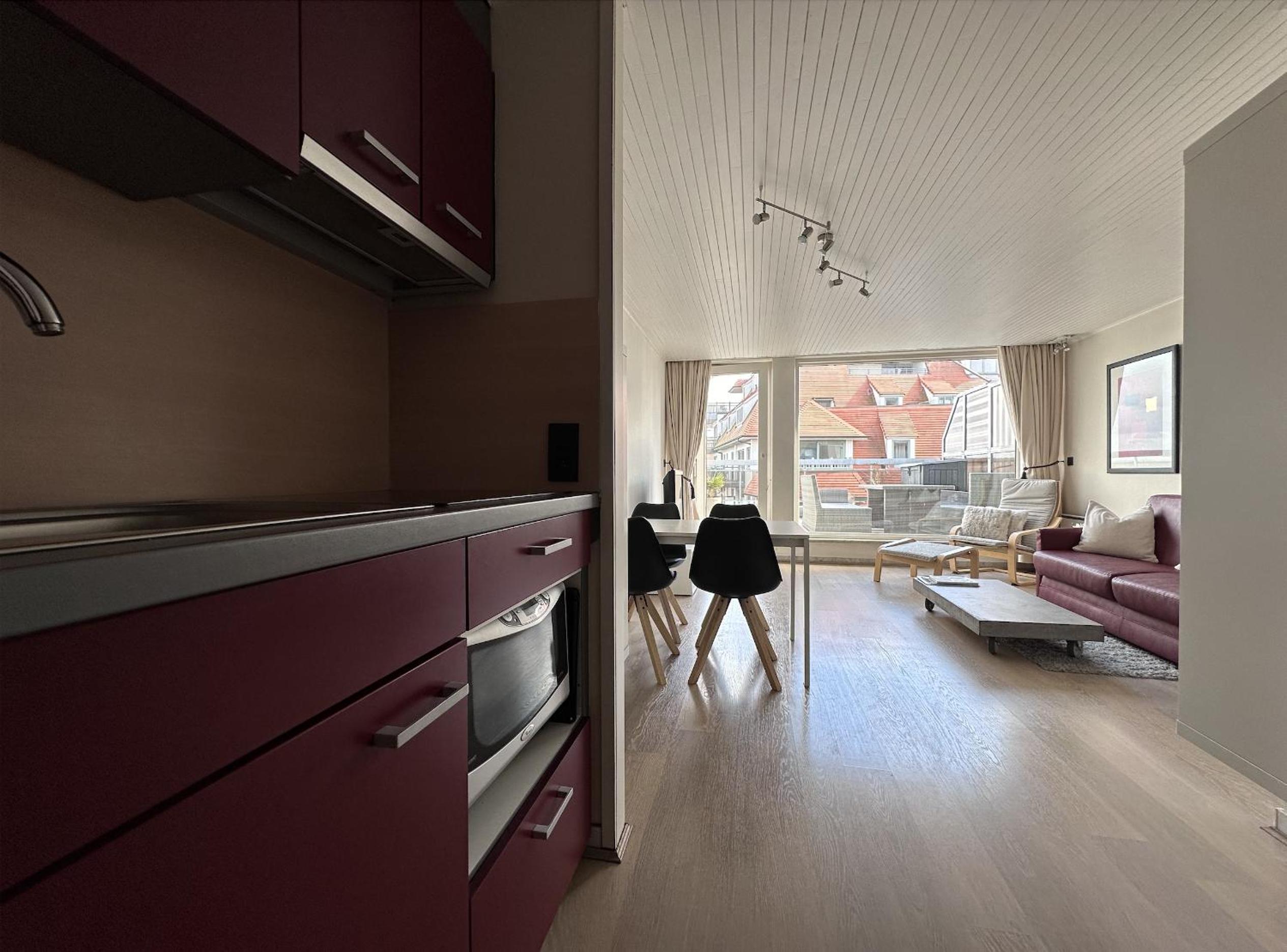 Penthousestudio met groot zonneterras view 5