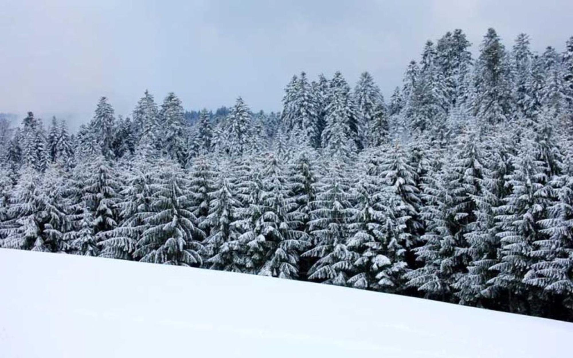Äckerhof