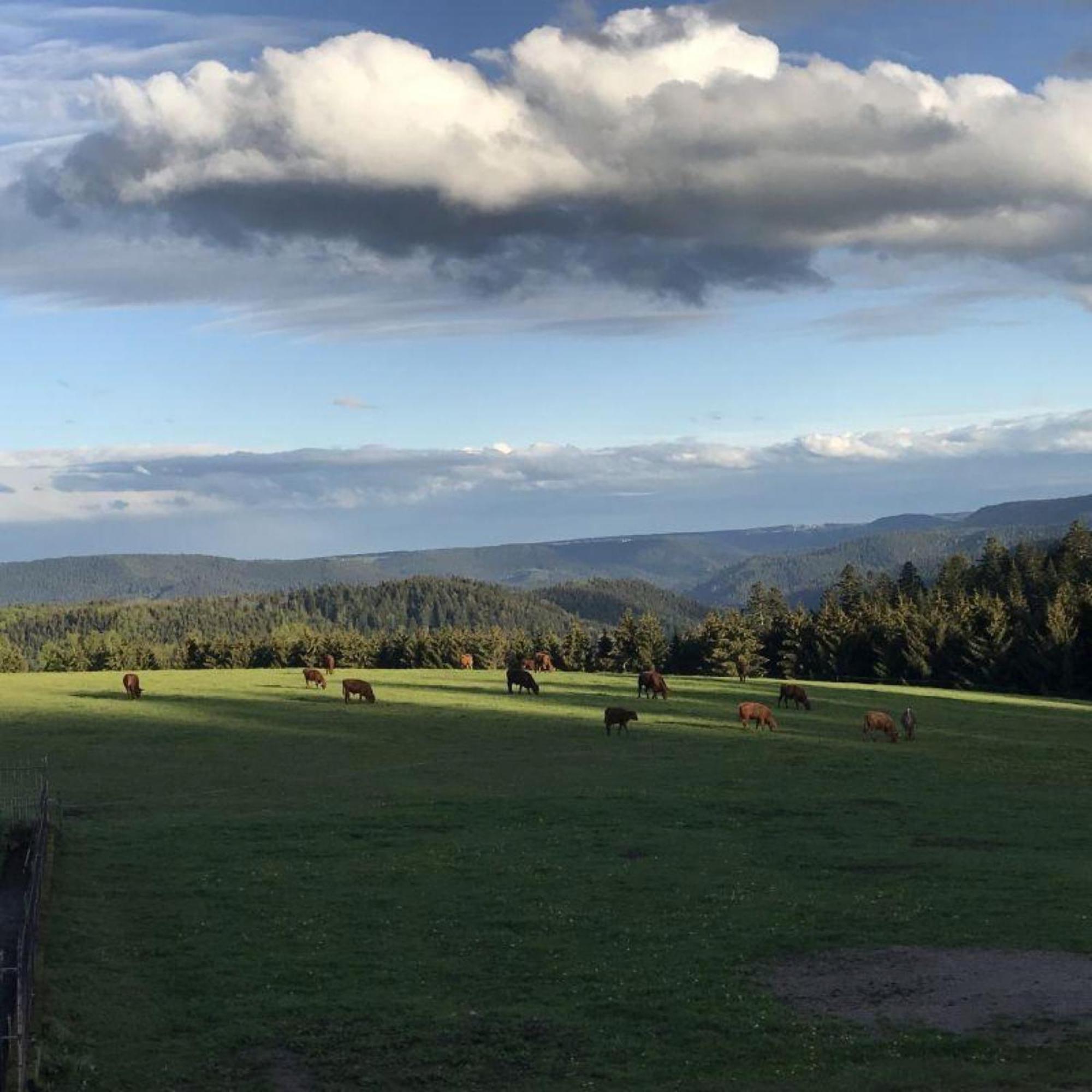 Äckerhof