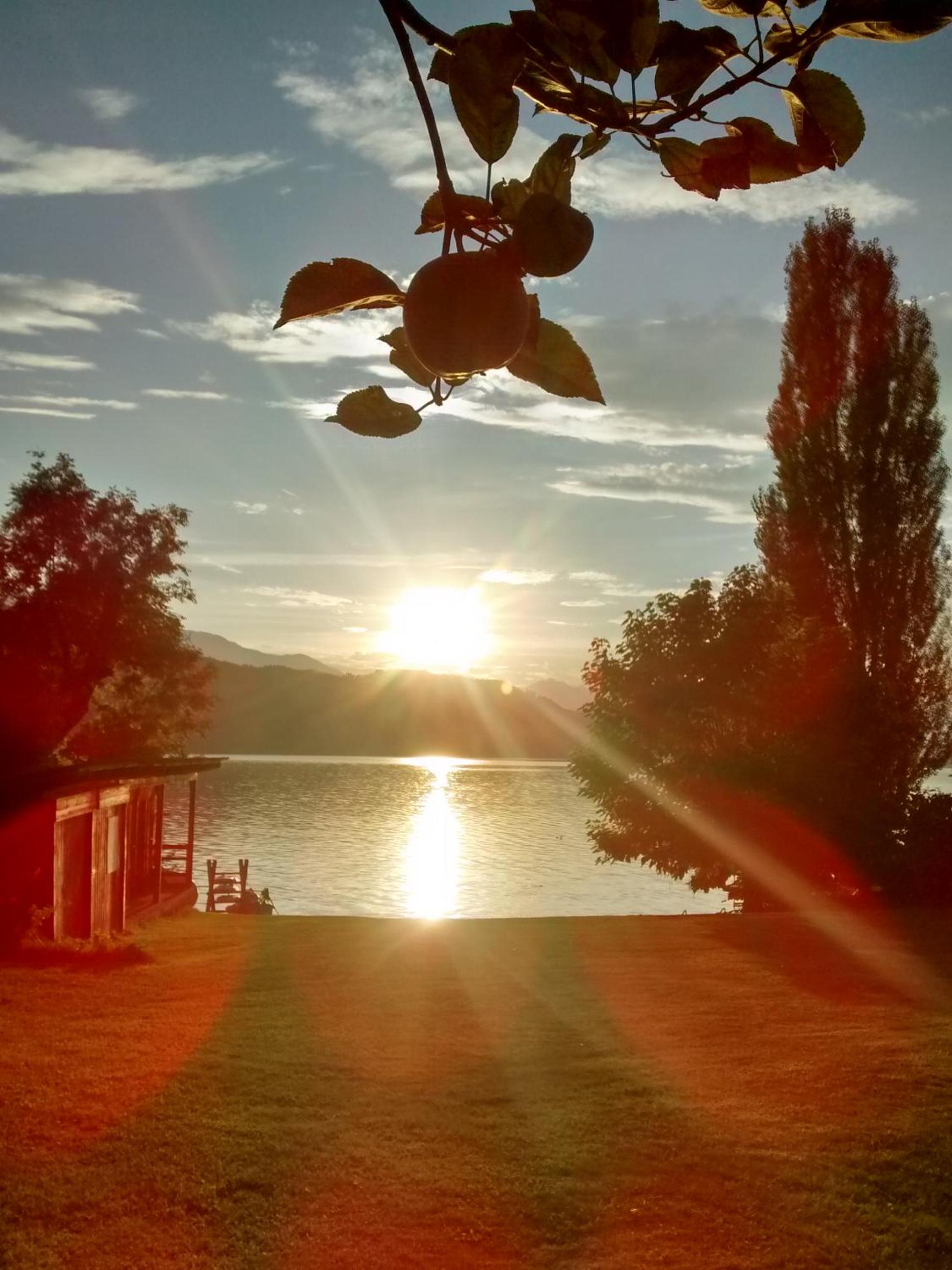 Ferienwohnungen Seerose in Dellach direkt am Millstätter See