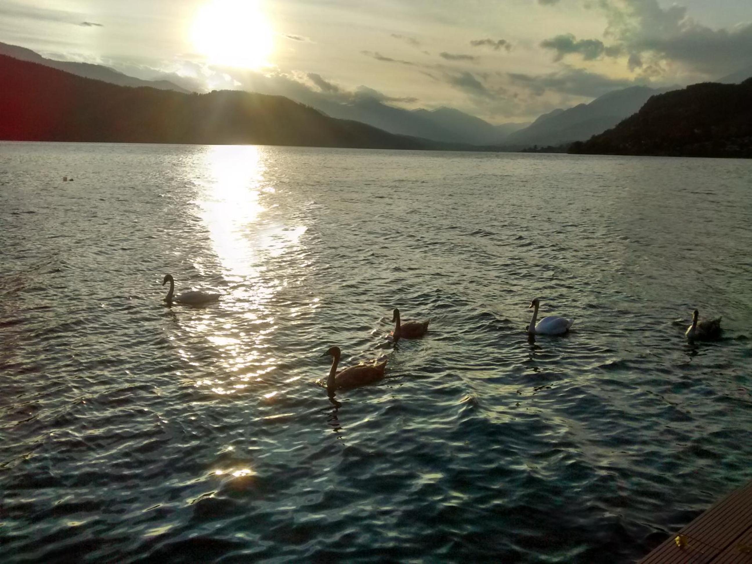 Ferienwohnungen Seerose in Dellach direkt am Millstätter See
