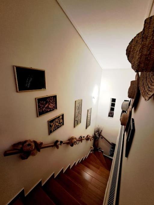 Kalamiotissa's Villa