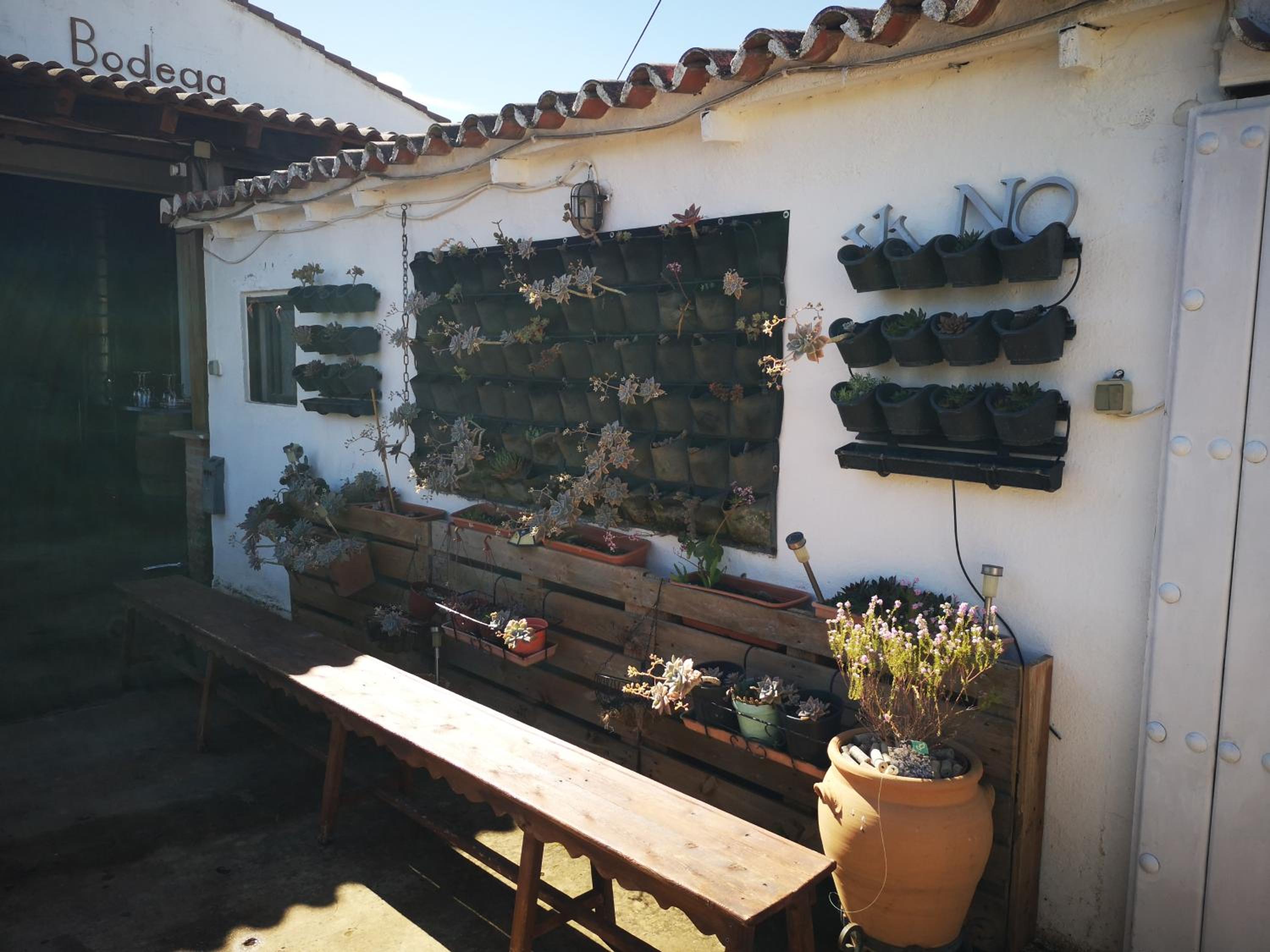 Apartamento El Baco entre viñedos