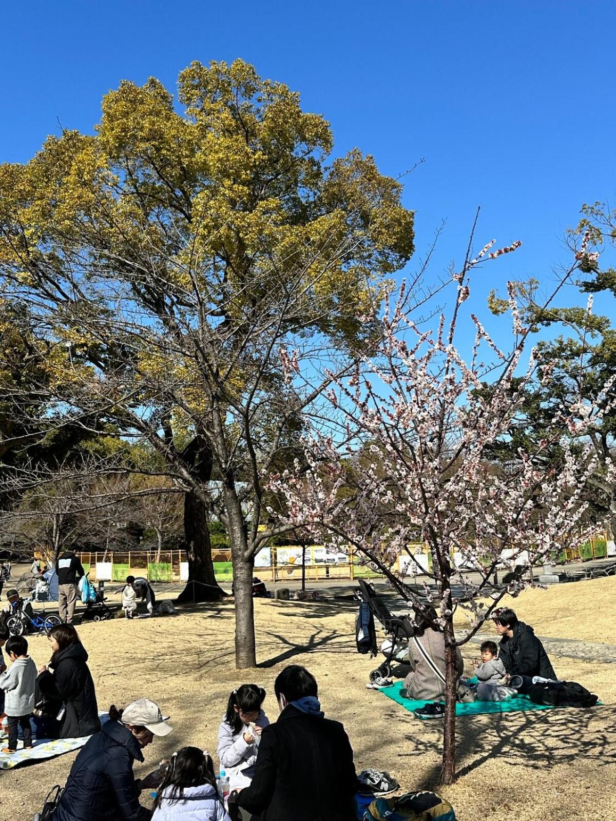Relax place