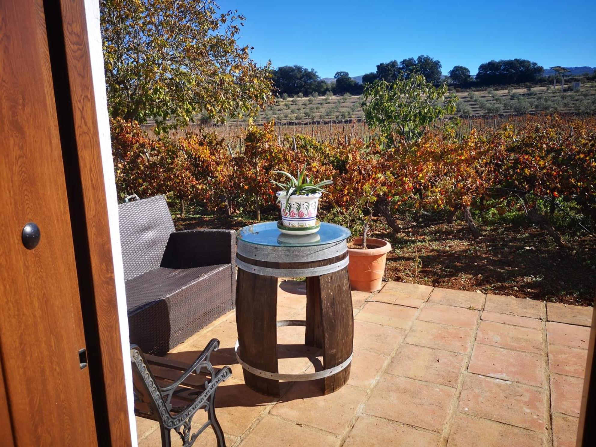 Apartamento El Baco entre viñedos