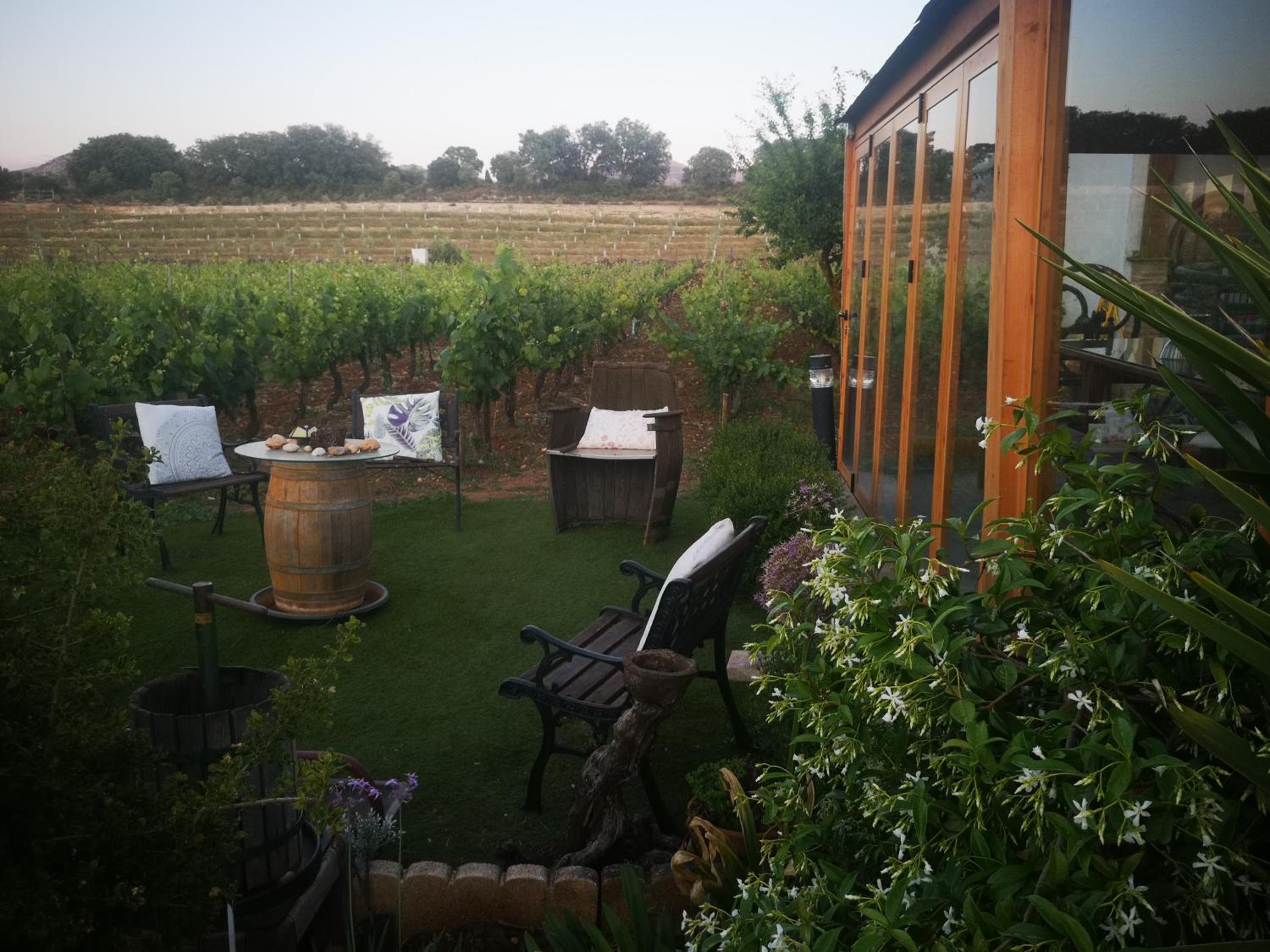 Apartamento El Baco entre viñedos