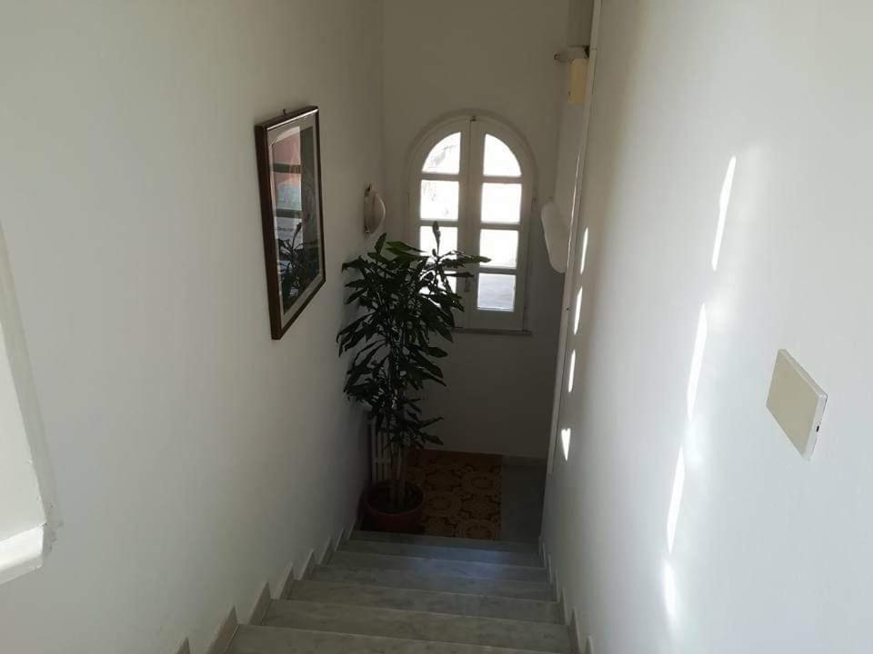 Casa La Perla photo 4