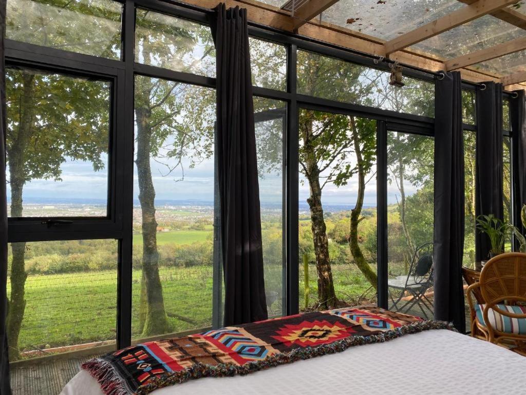 Sky gazer cabin in the woods