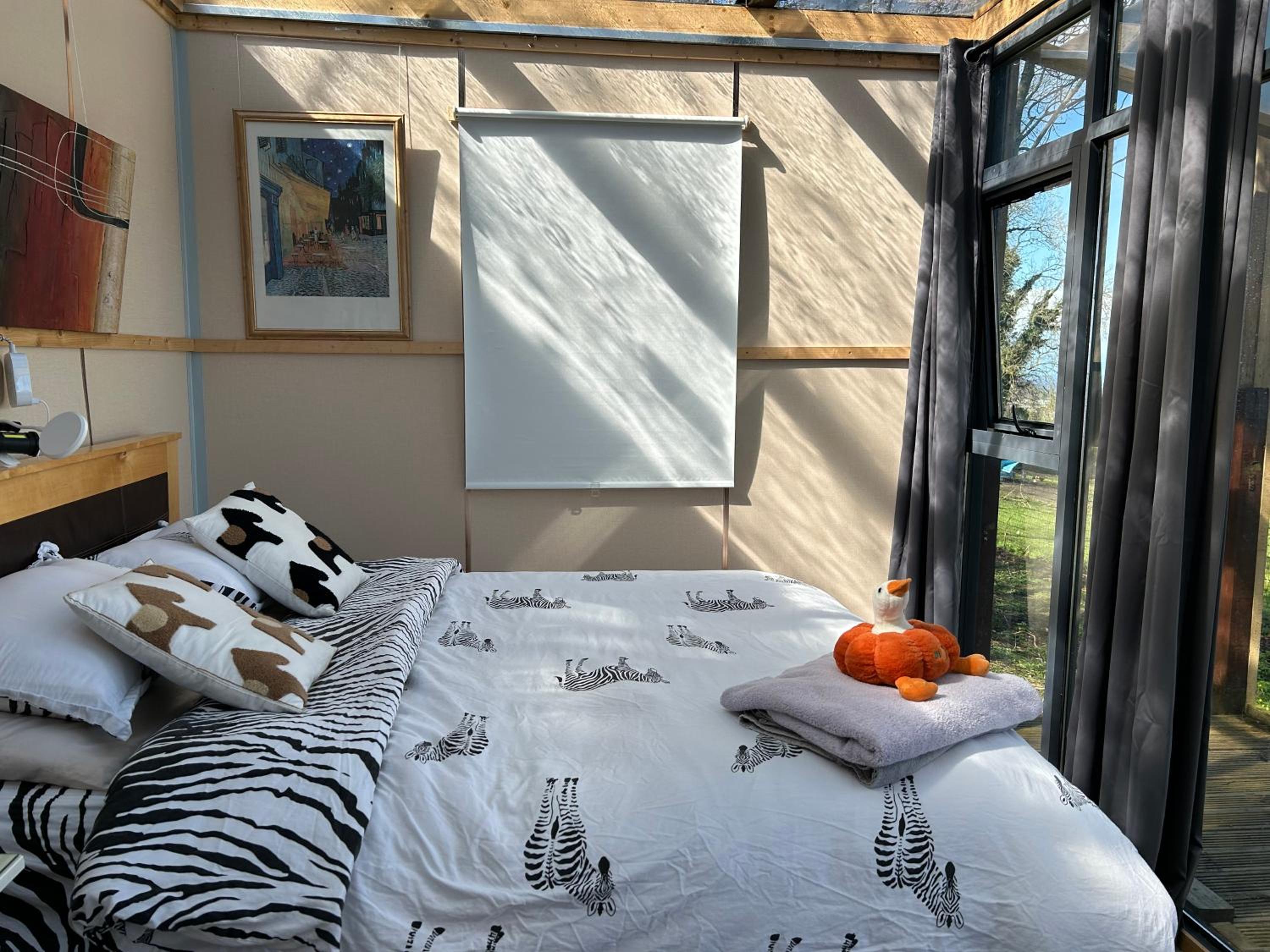 Sky gazer cabin in the woods