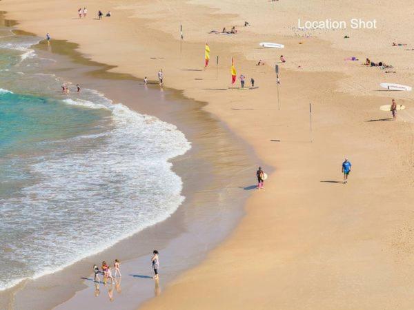 Manly Jungle Beach Oasis