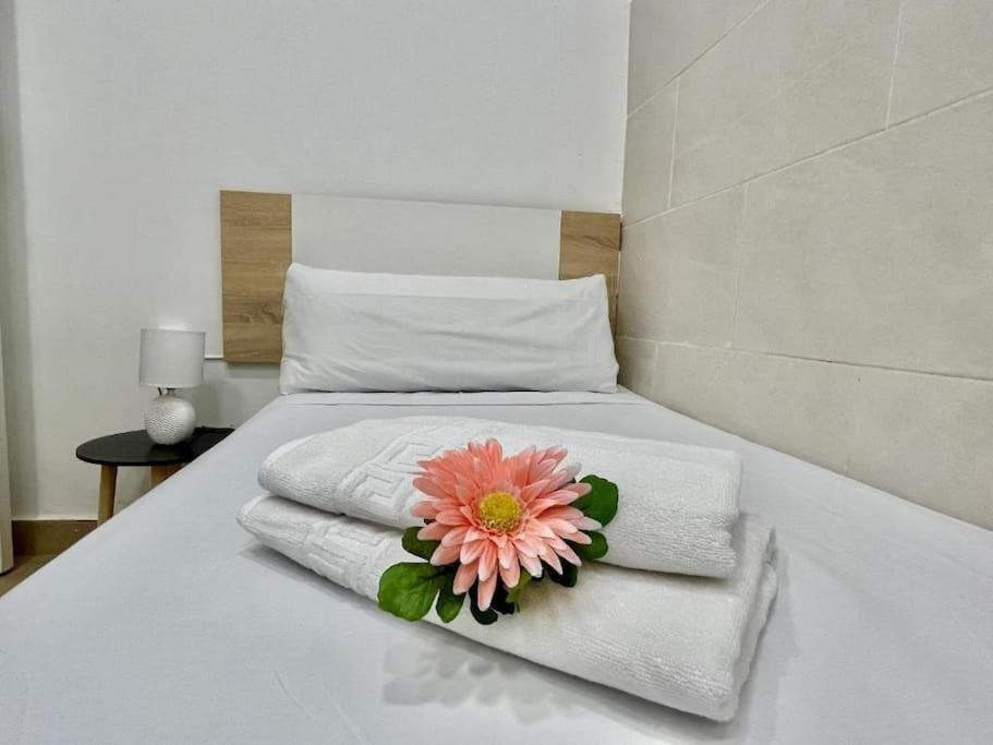 Carpe Diem Alicante apartamento Bajo