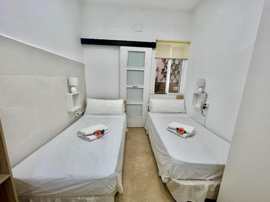 Carpe Diem Alicante apartamento Bajo
