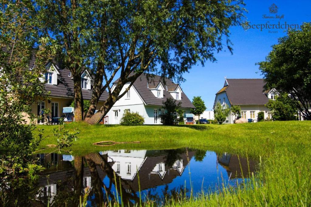 Ostseeferienpark Seepferdchen direkt an der Ostsee - perfekt für Familien