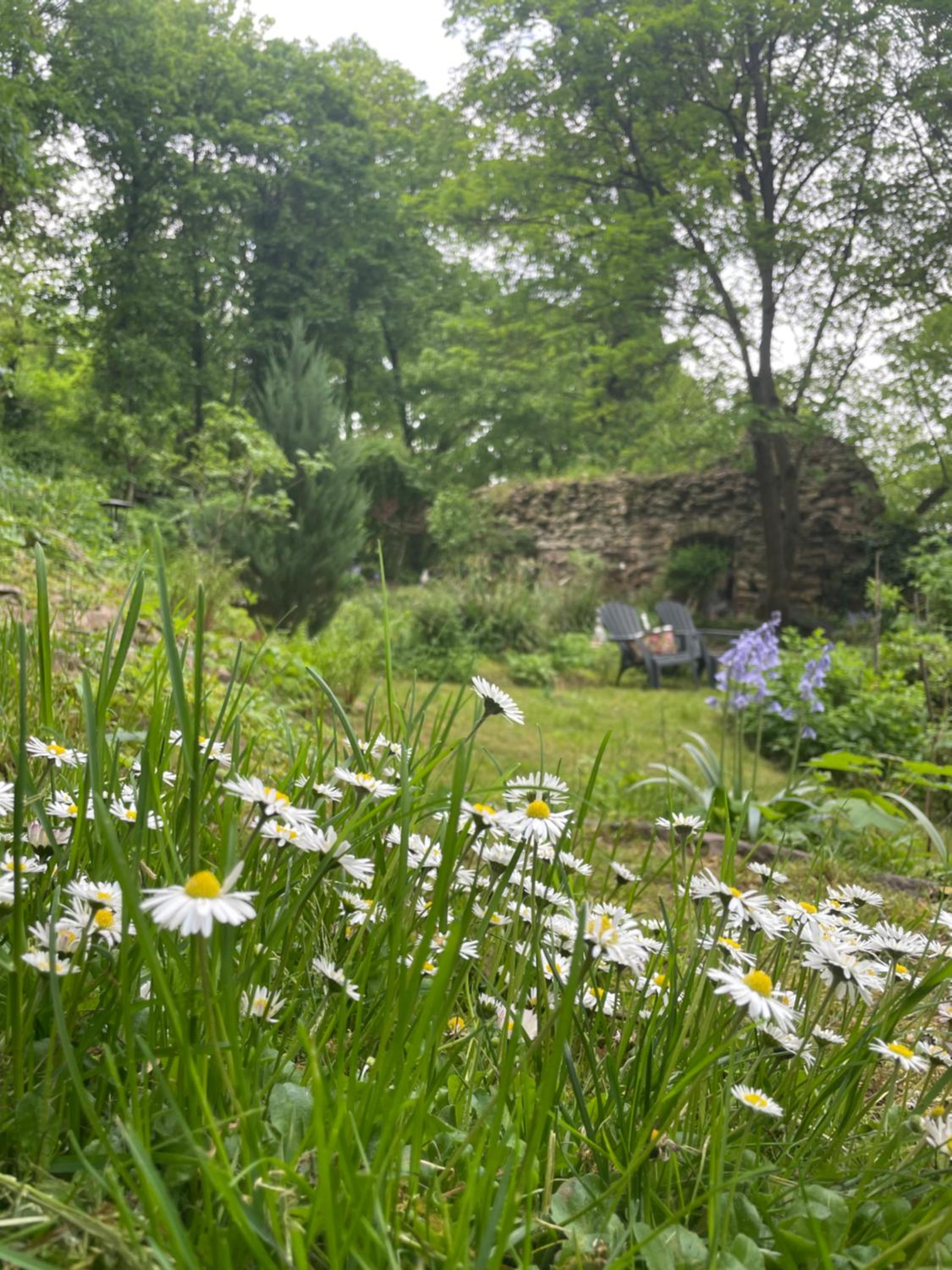 2 kleine Altstadt-Ferienwohnungen mit Garten & Herz