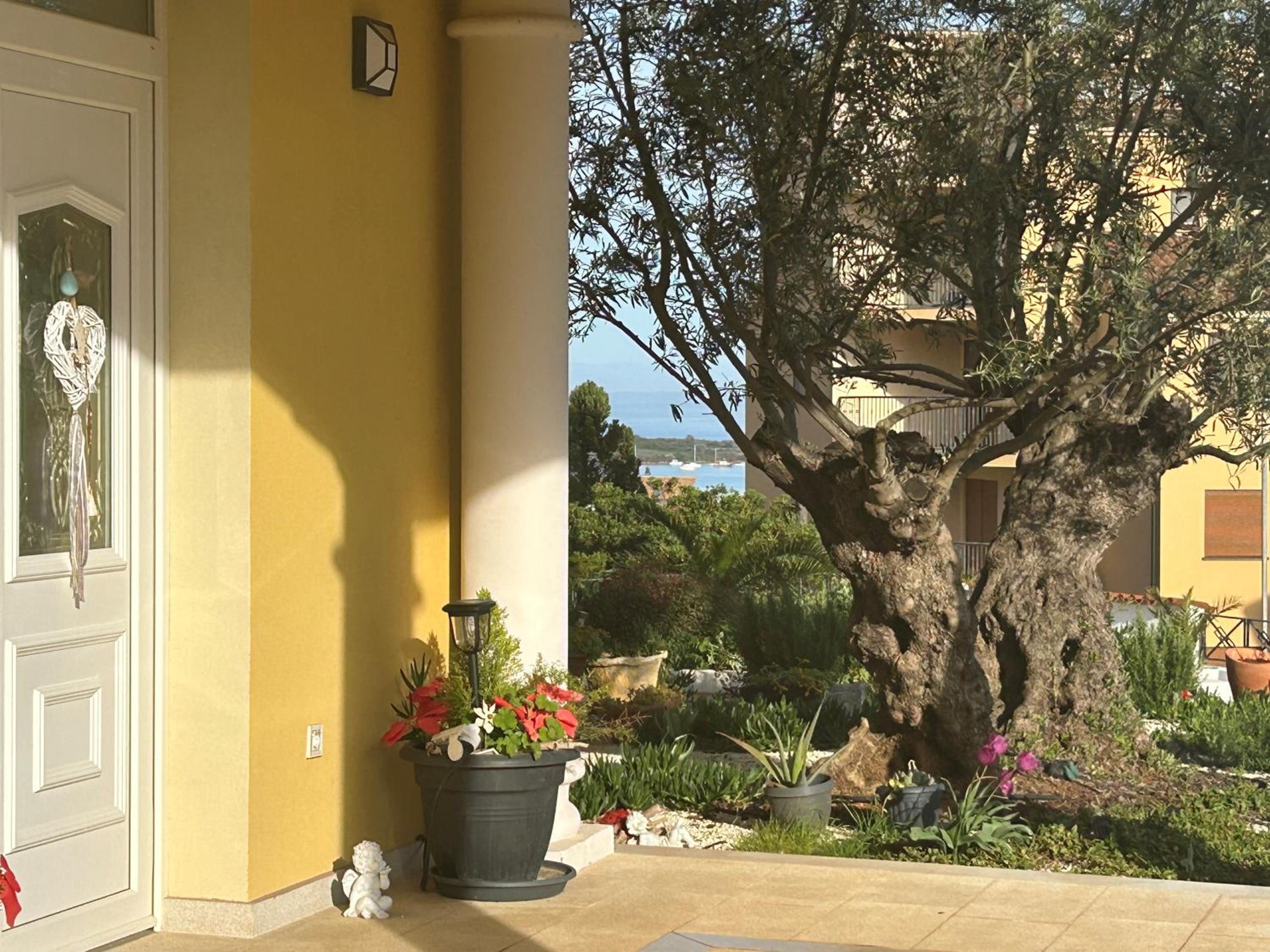 Villa Istriana view 3