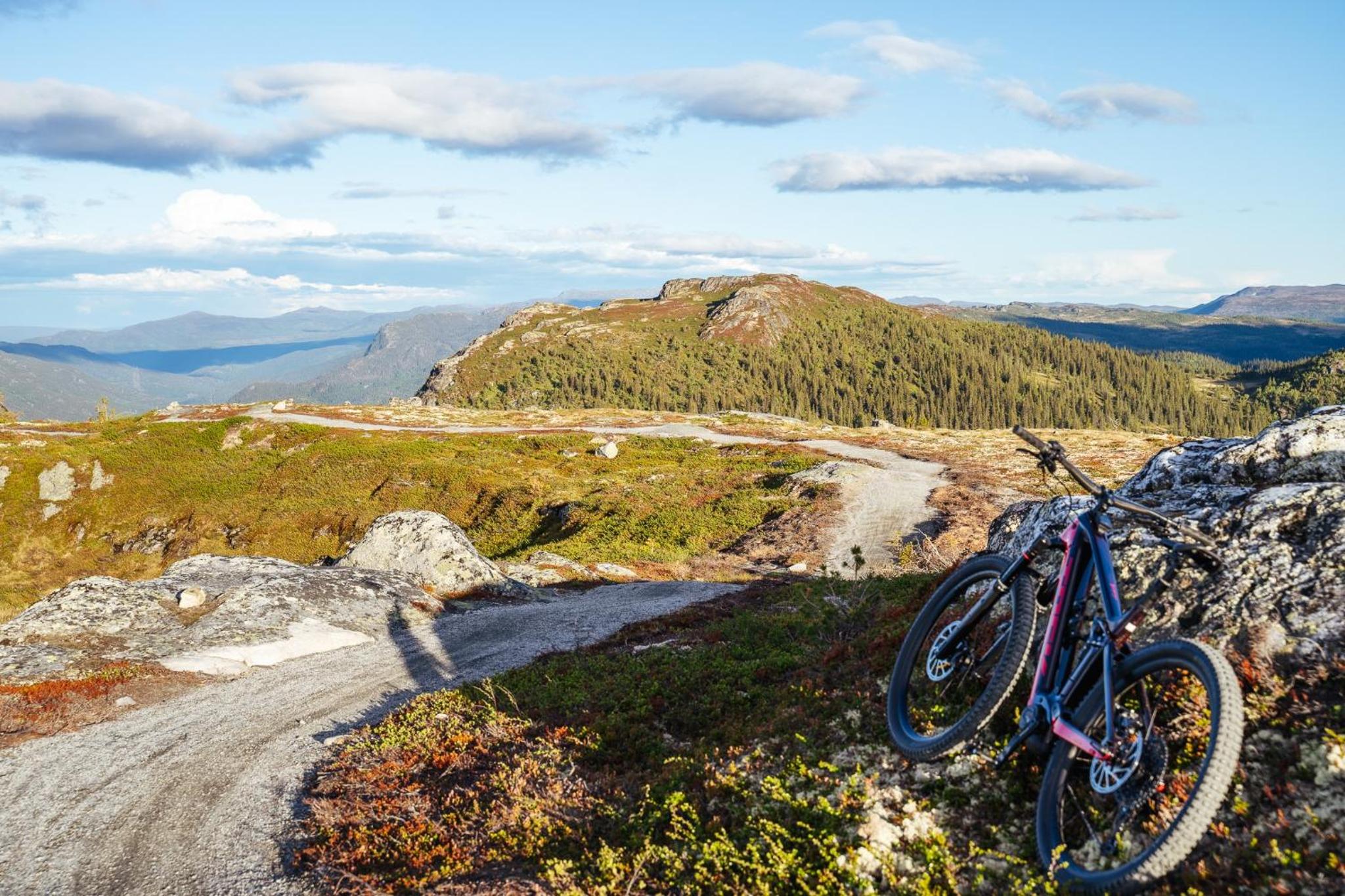Nesfjellet