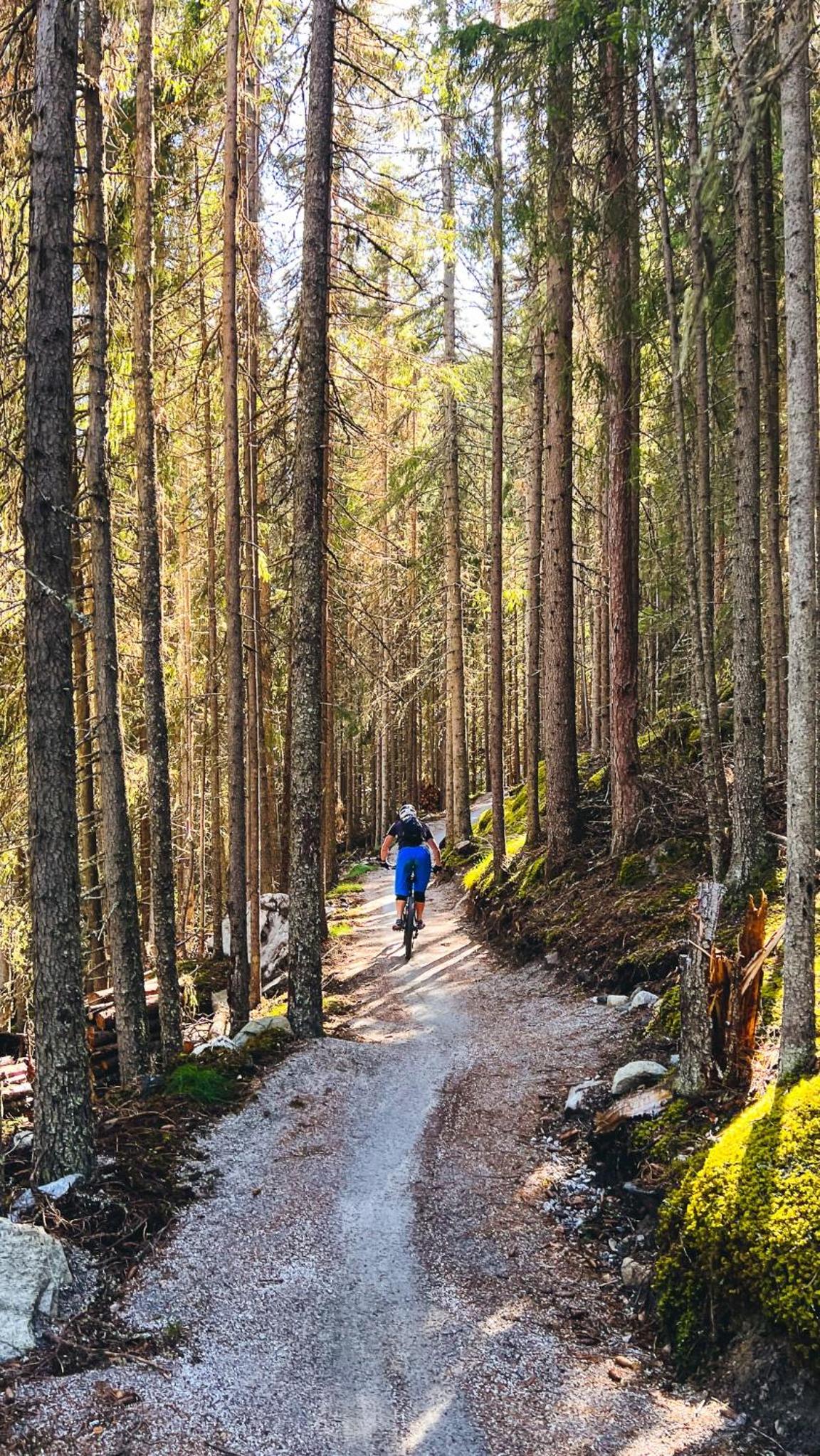 Nesfjellet