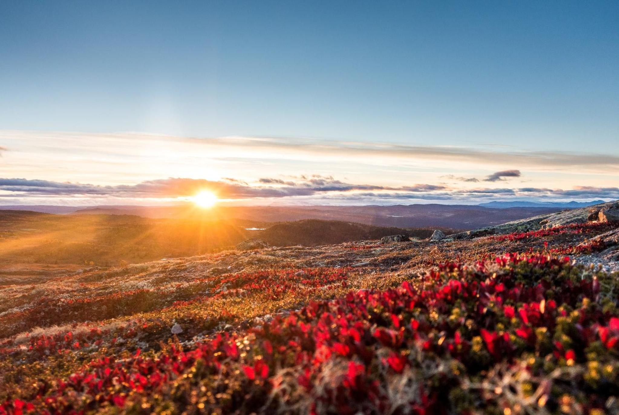 Nesfjellet