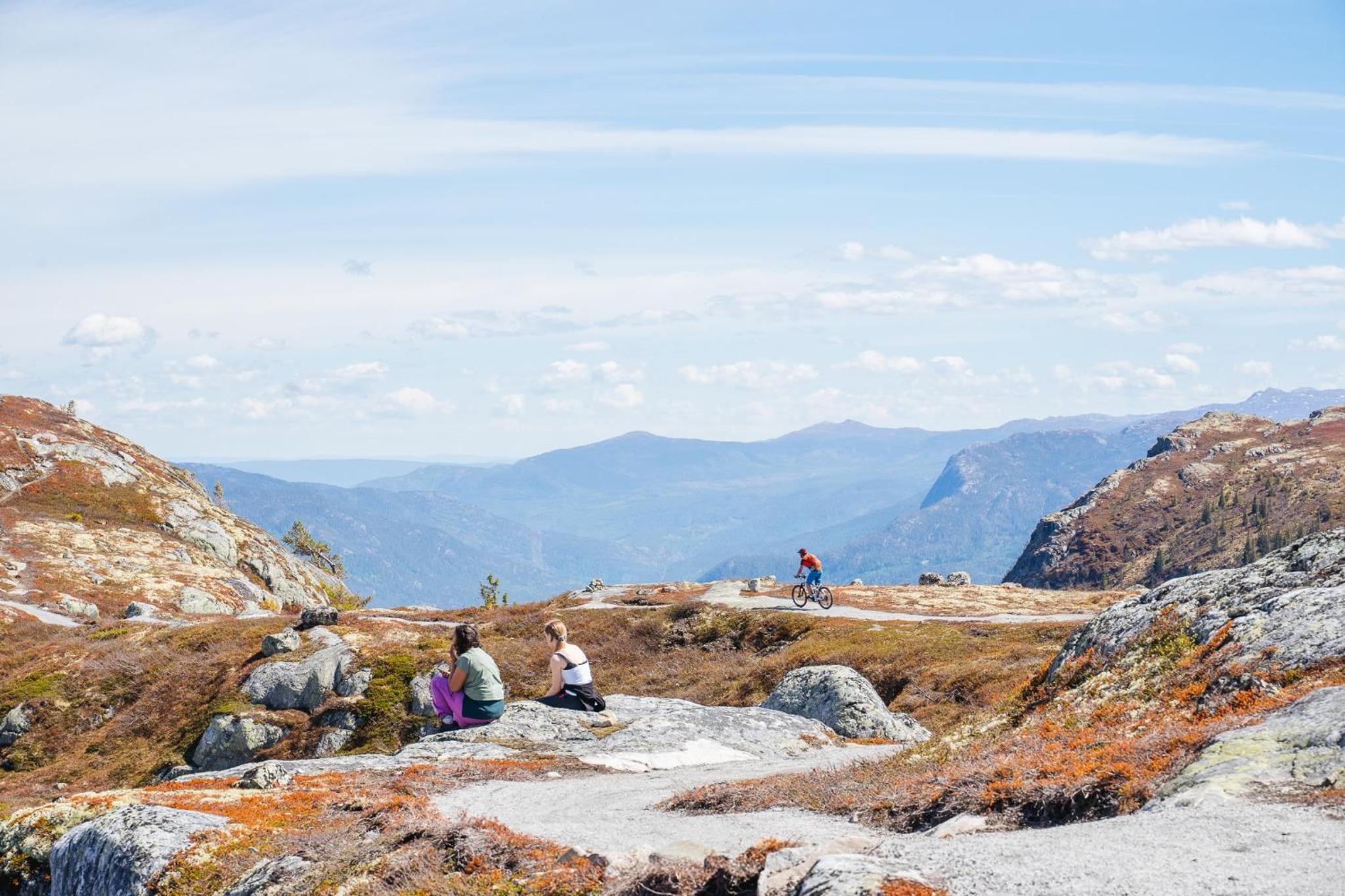 Nesfjellet