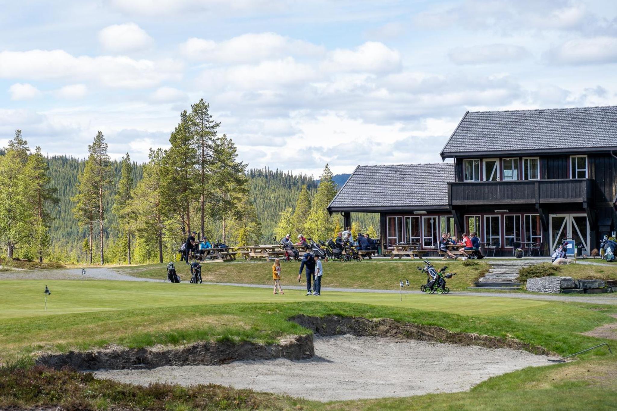 Nesfjellet