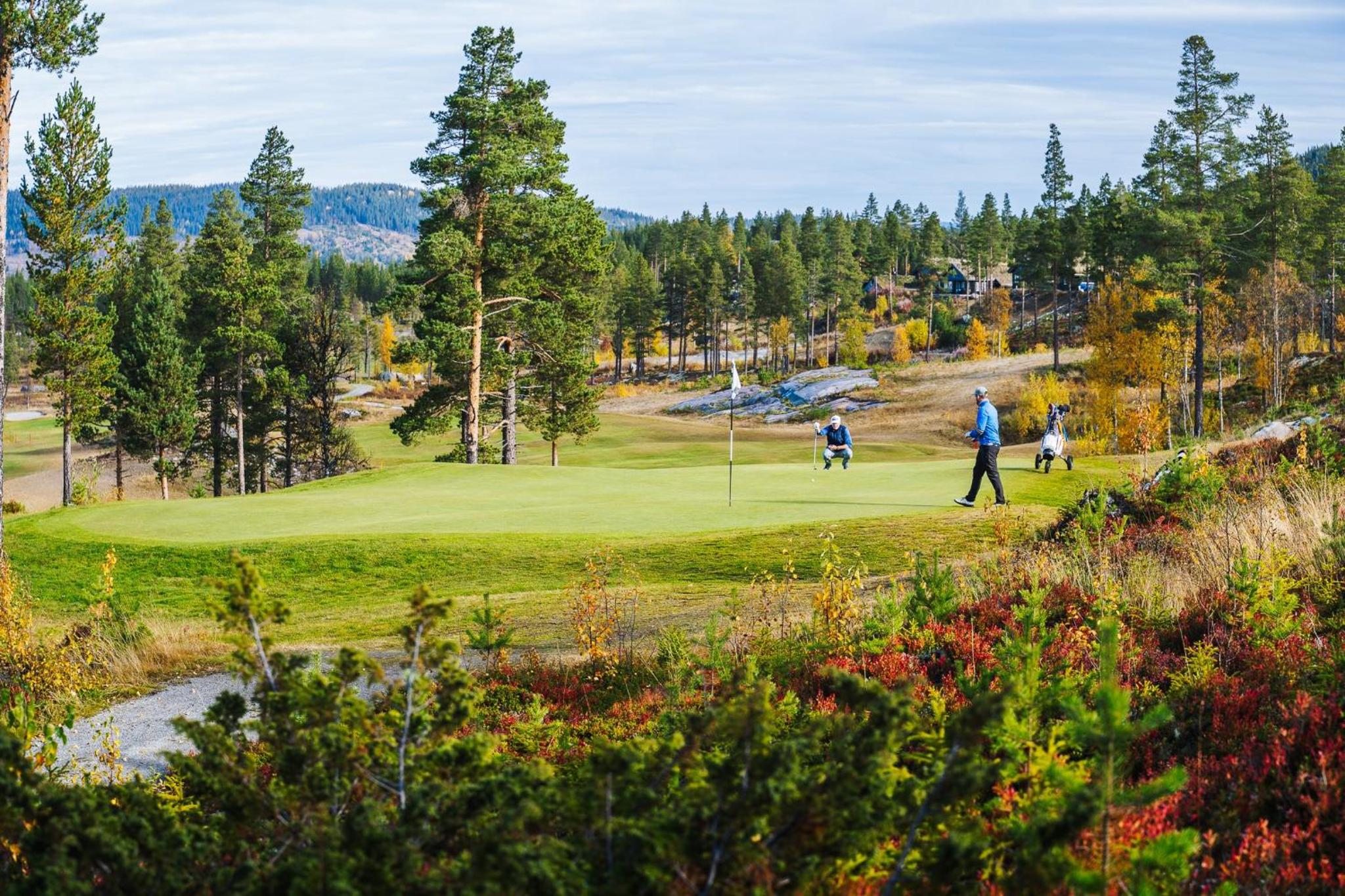 Nesfjellet