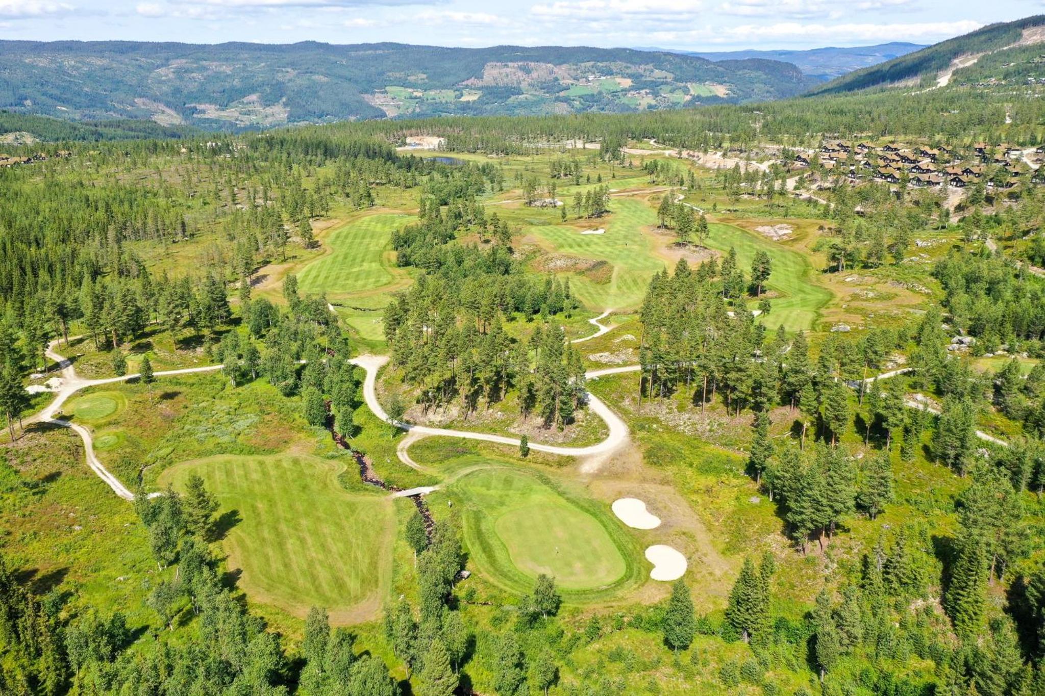 Nesfjellet
