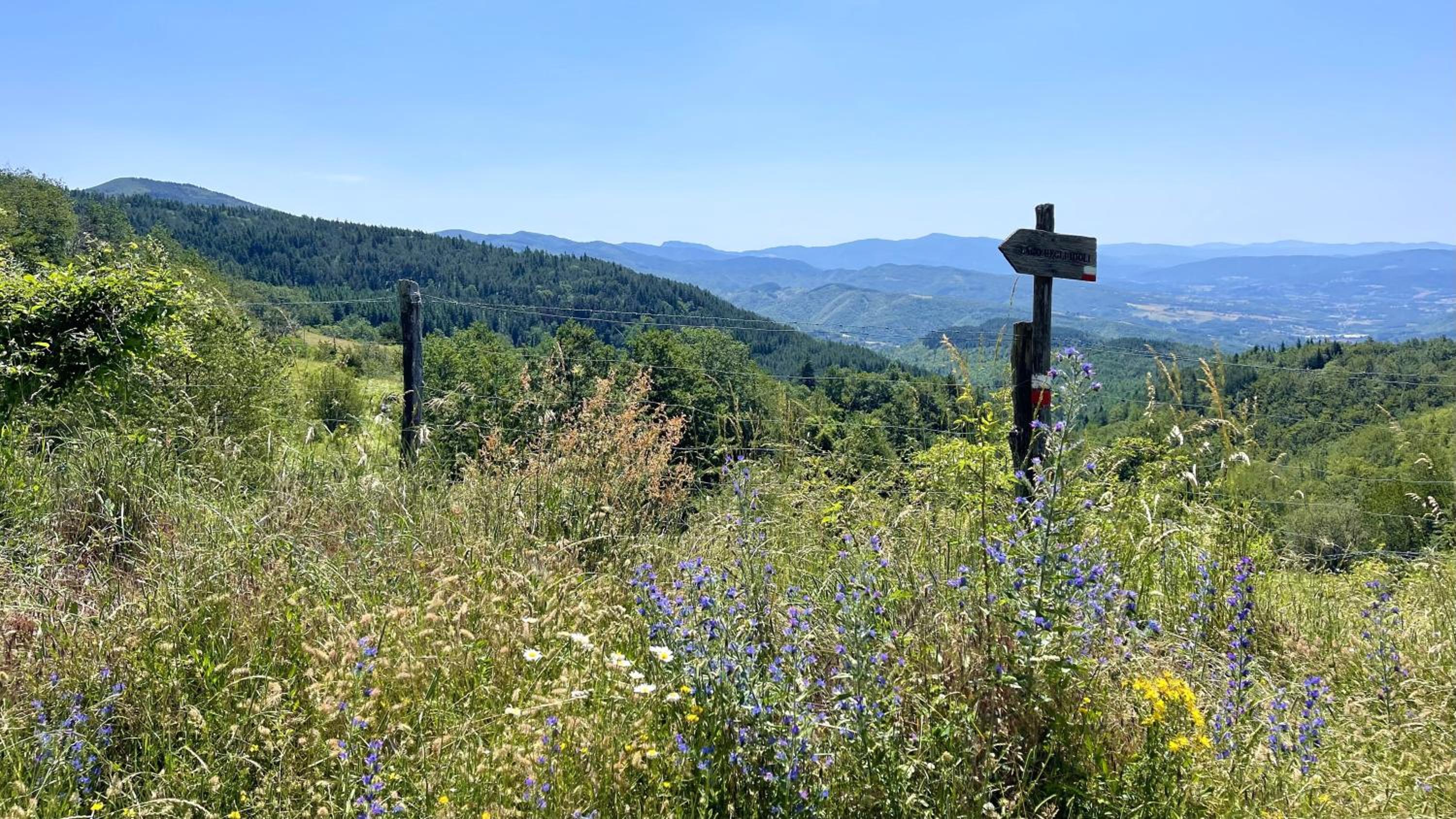 Casa fiordaliso