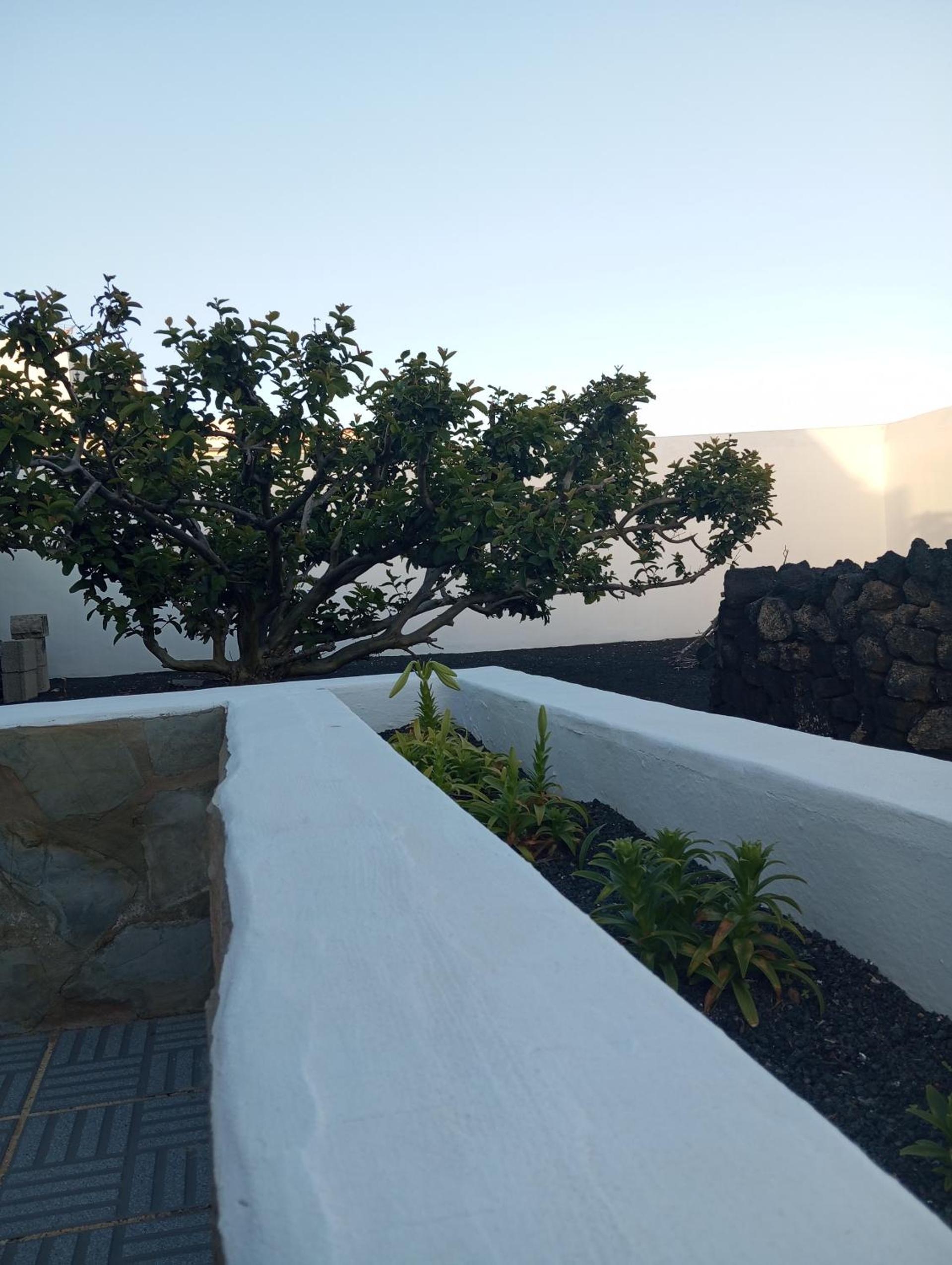 Casa Siempreviva