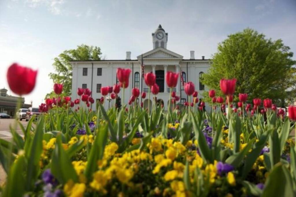 Walk to Ole Miss Campus! Pets Welcome! view 4