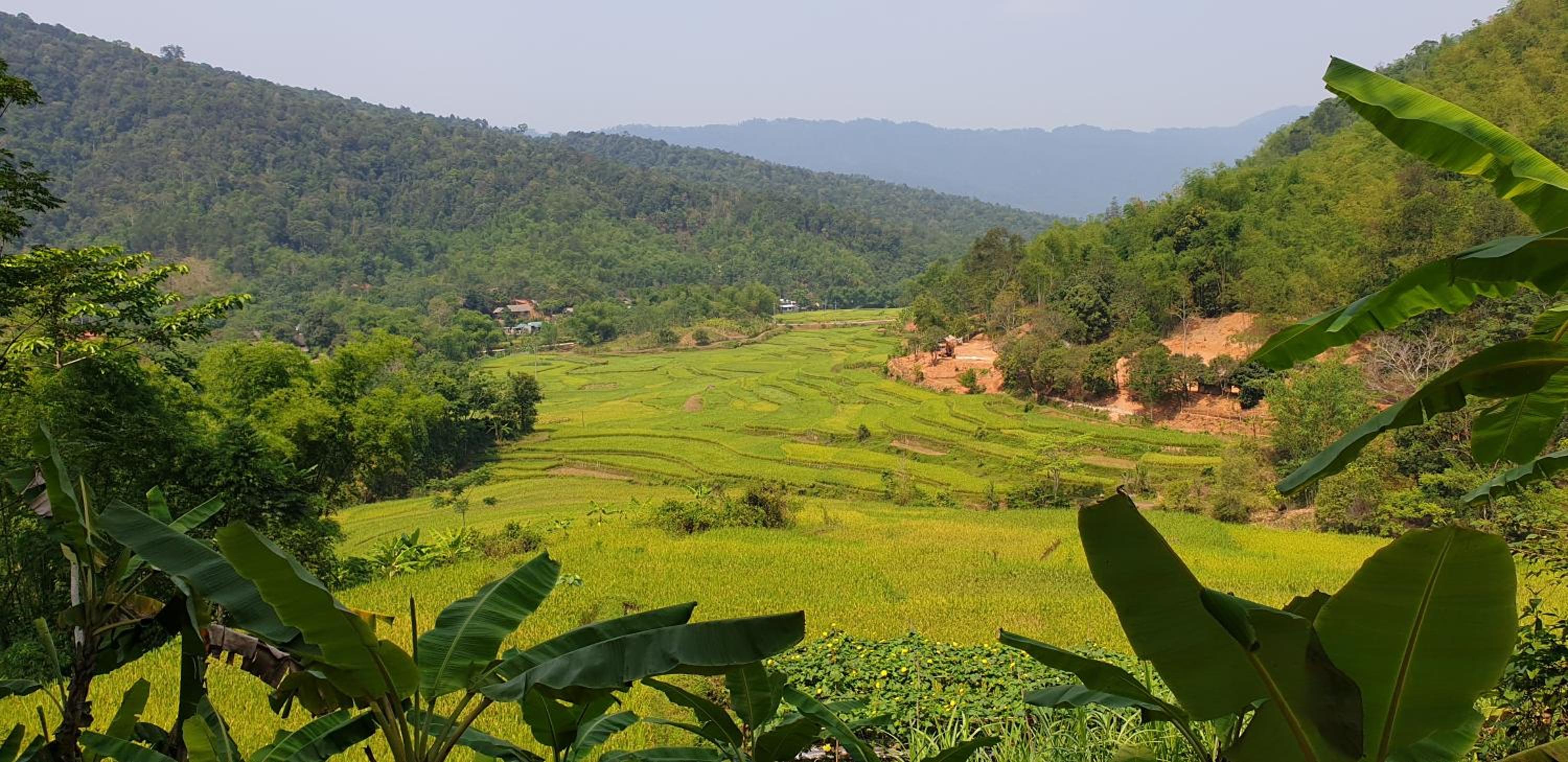Quế Homestay view 2