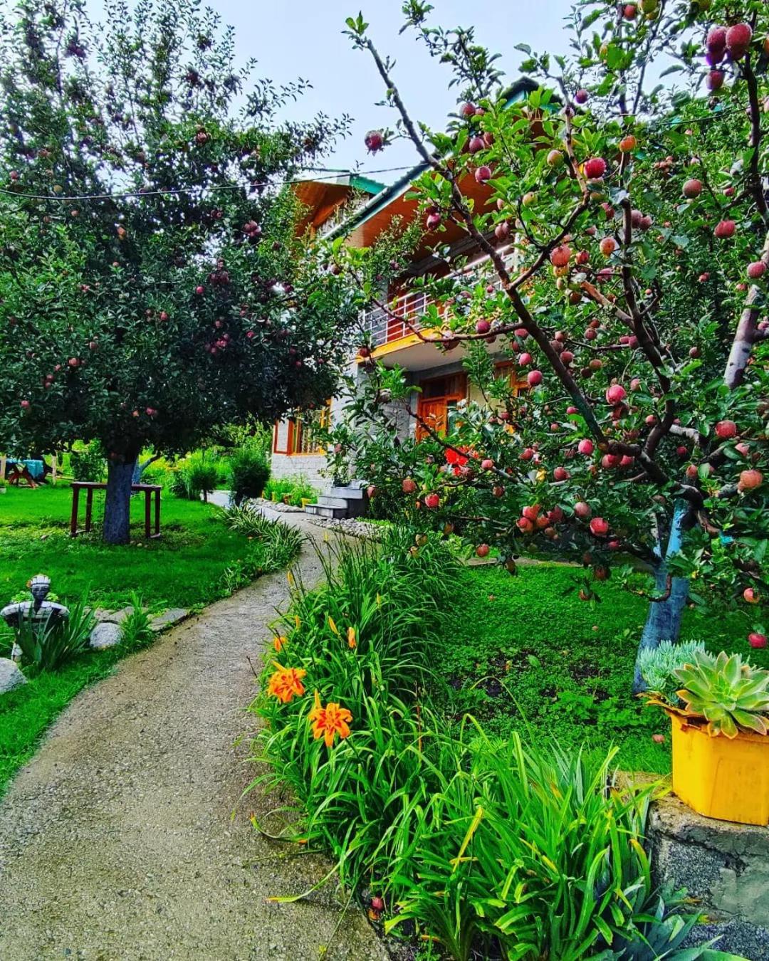 Cascade Mountain Retreat Manali