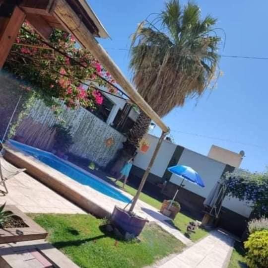 Donde Vivi