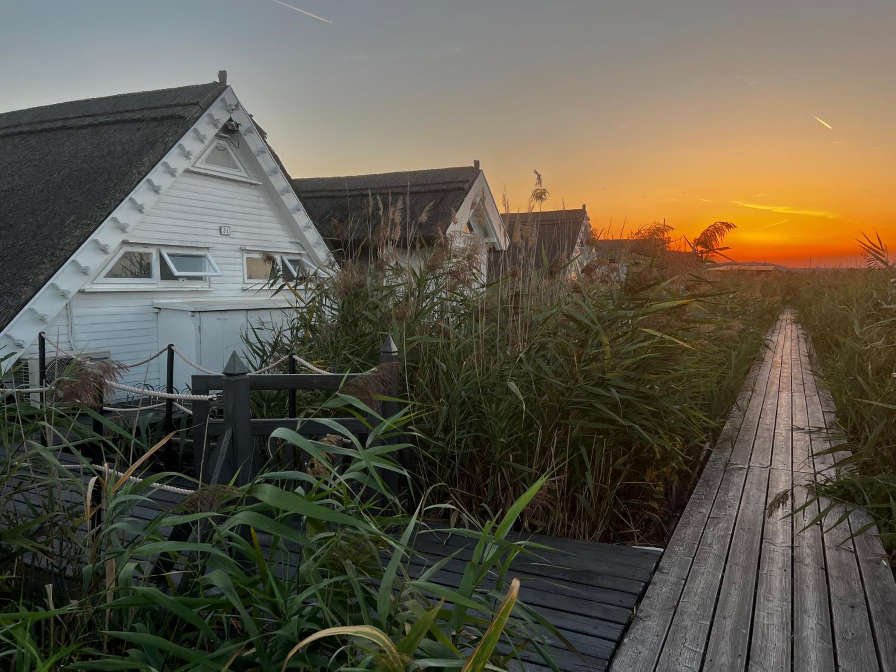 Seehütte Neusiedlersee - Seehaus inklusive Elektroboot