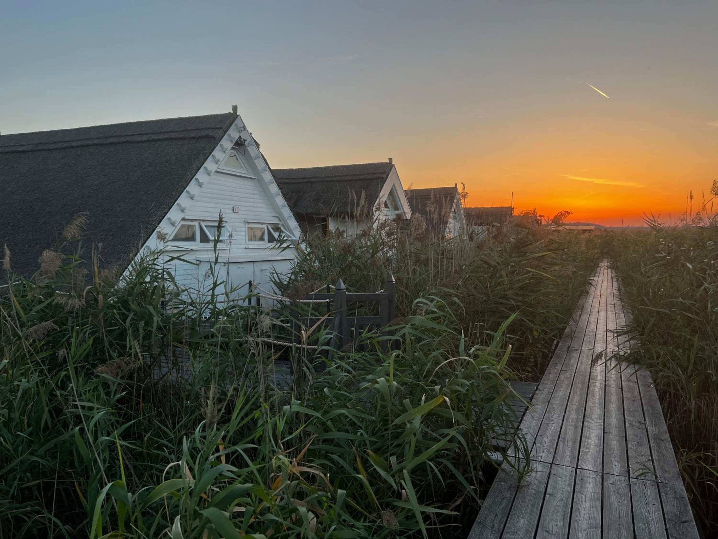 Seehütte Neusiedlersee - Seehaus inklusive Elektroboot