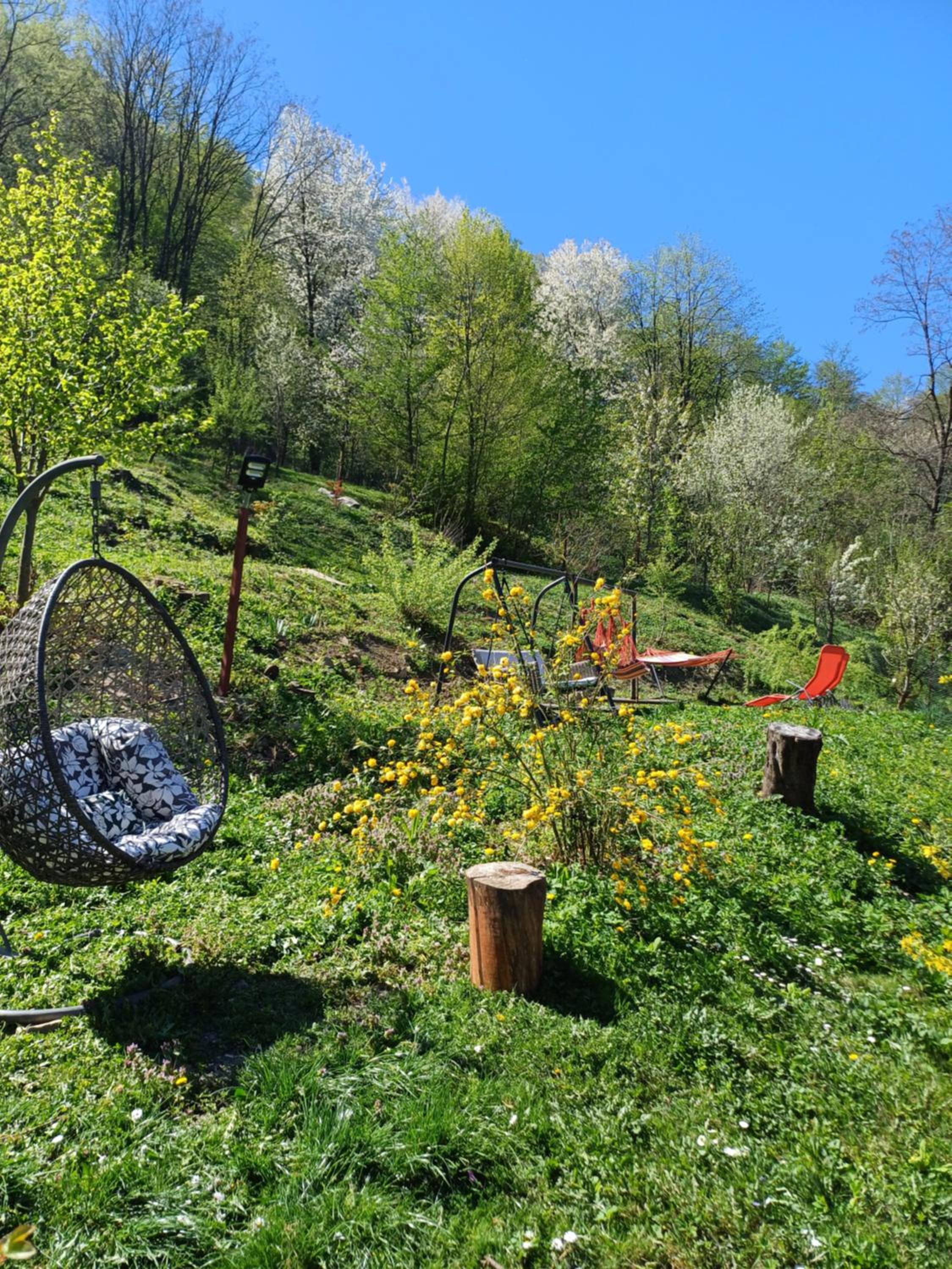 Pensiunea Magura Ocnei, photo 6