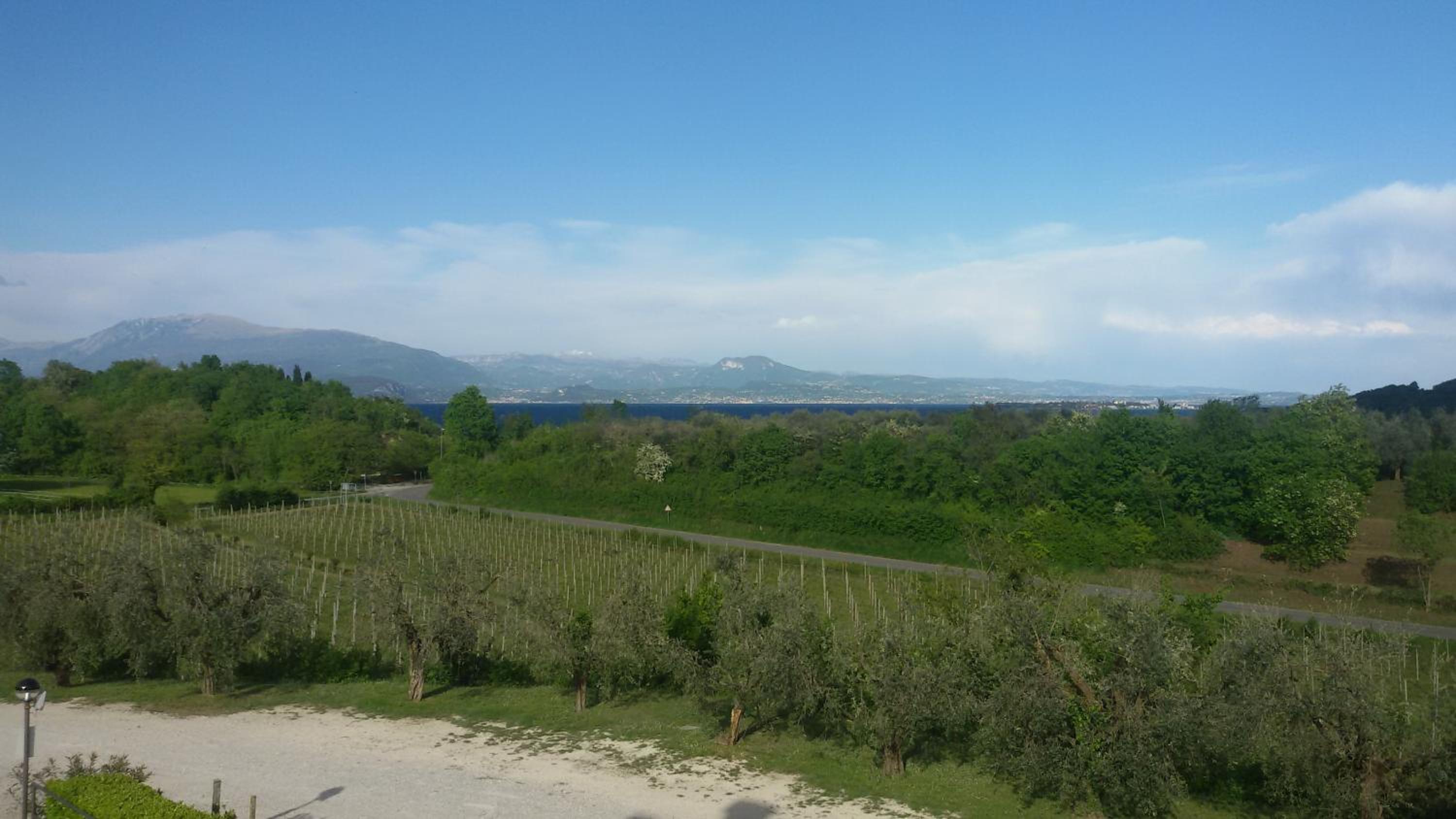Agriturismo La Scalera view 3