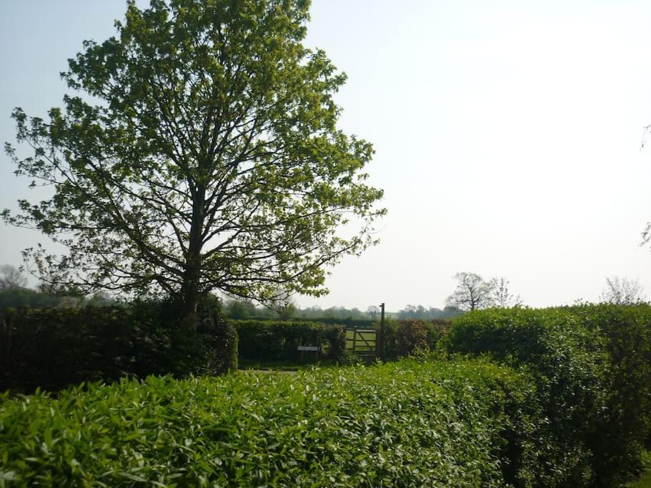 The Barn, Poplar Farm view 4
