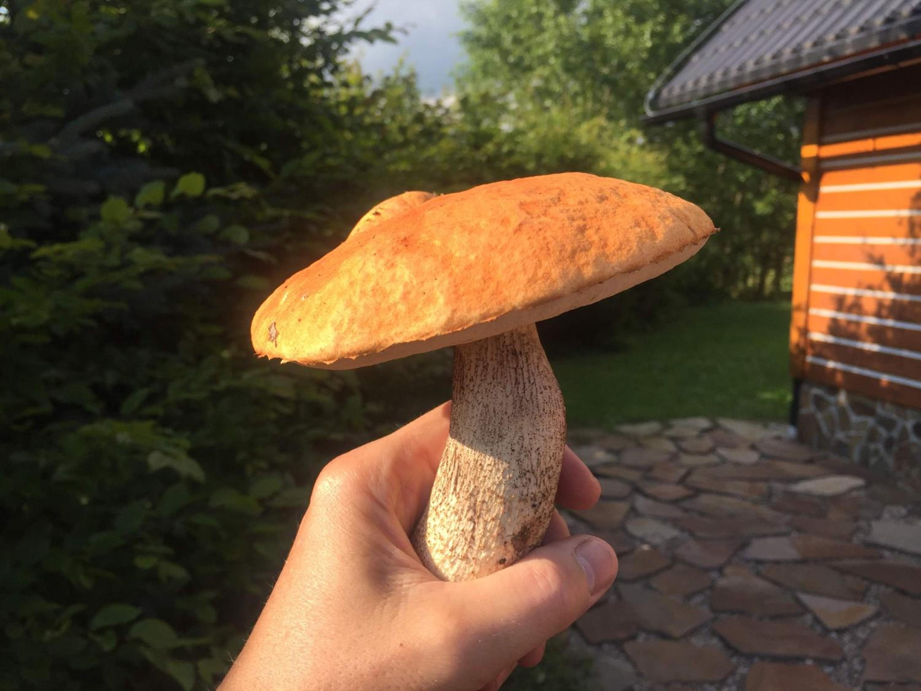 Chalupa s privátní saunou