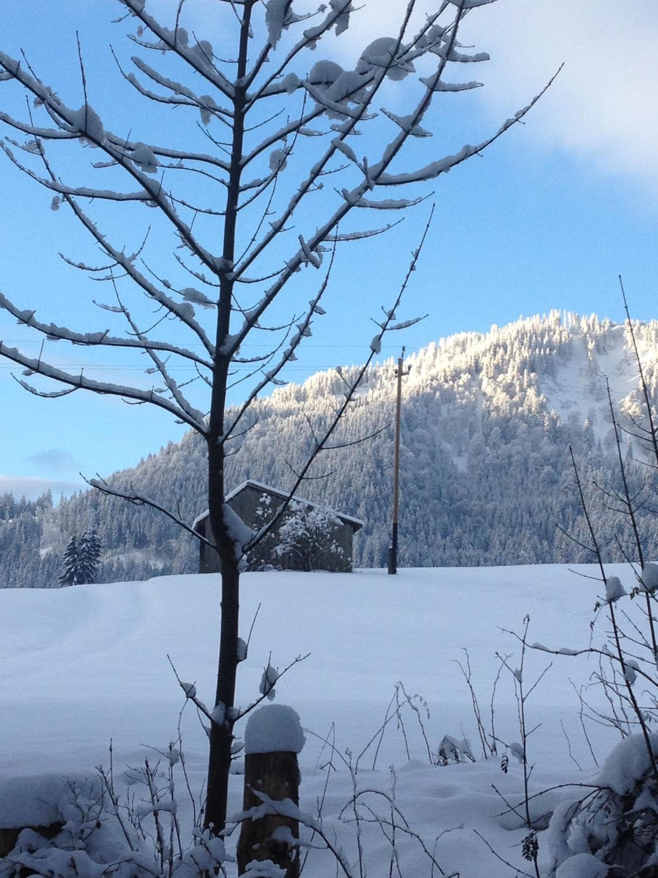 Bed & Breakfast Jungholz - Pension Katharina
