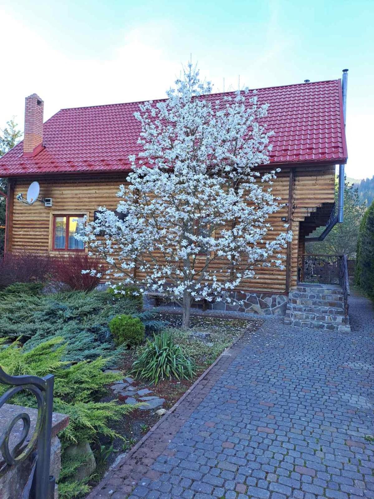Magnolia view 2