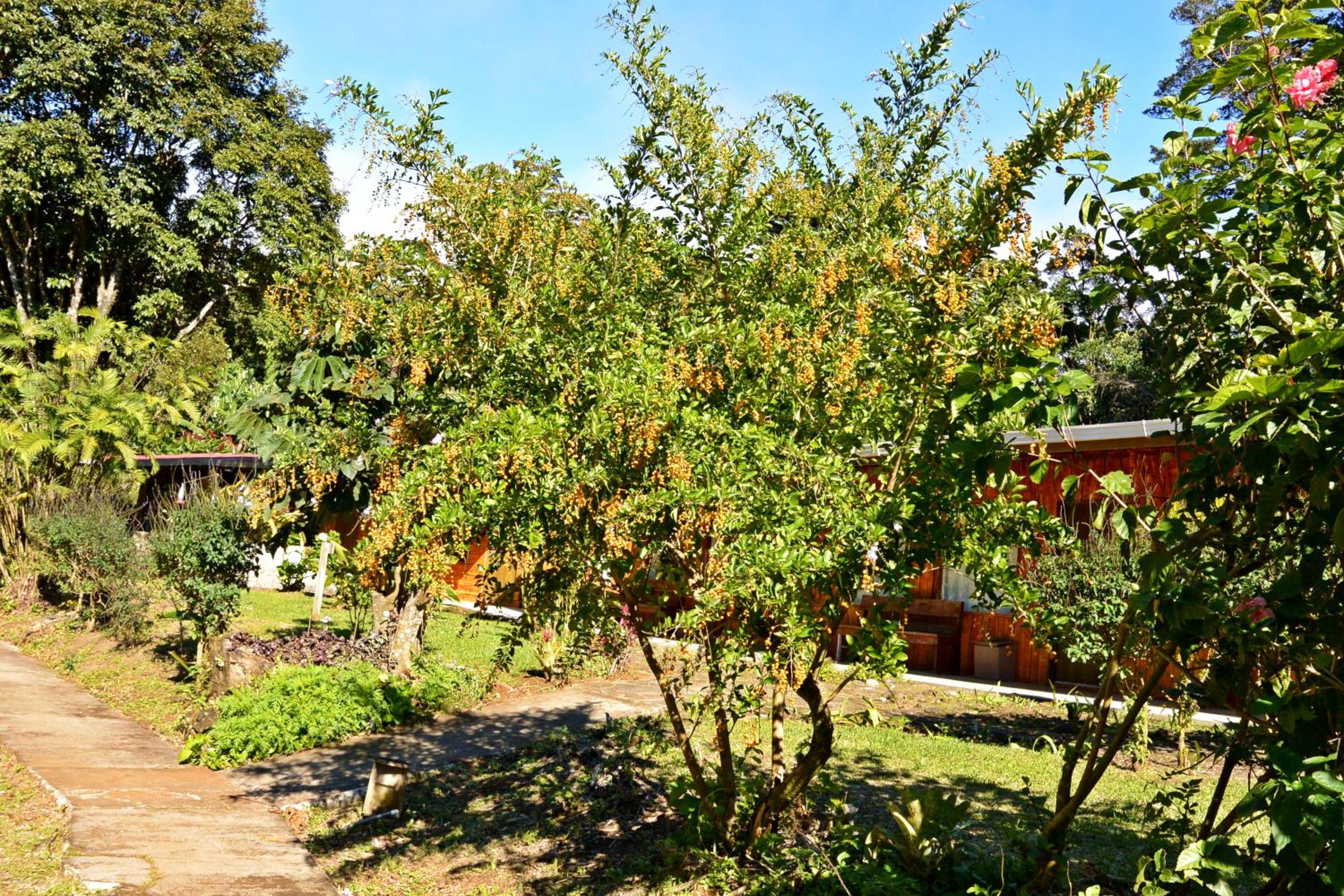 Elida Trails & Eco-Lodge