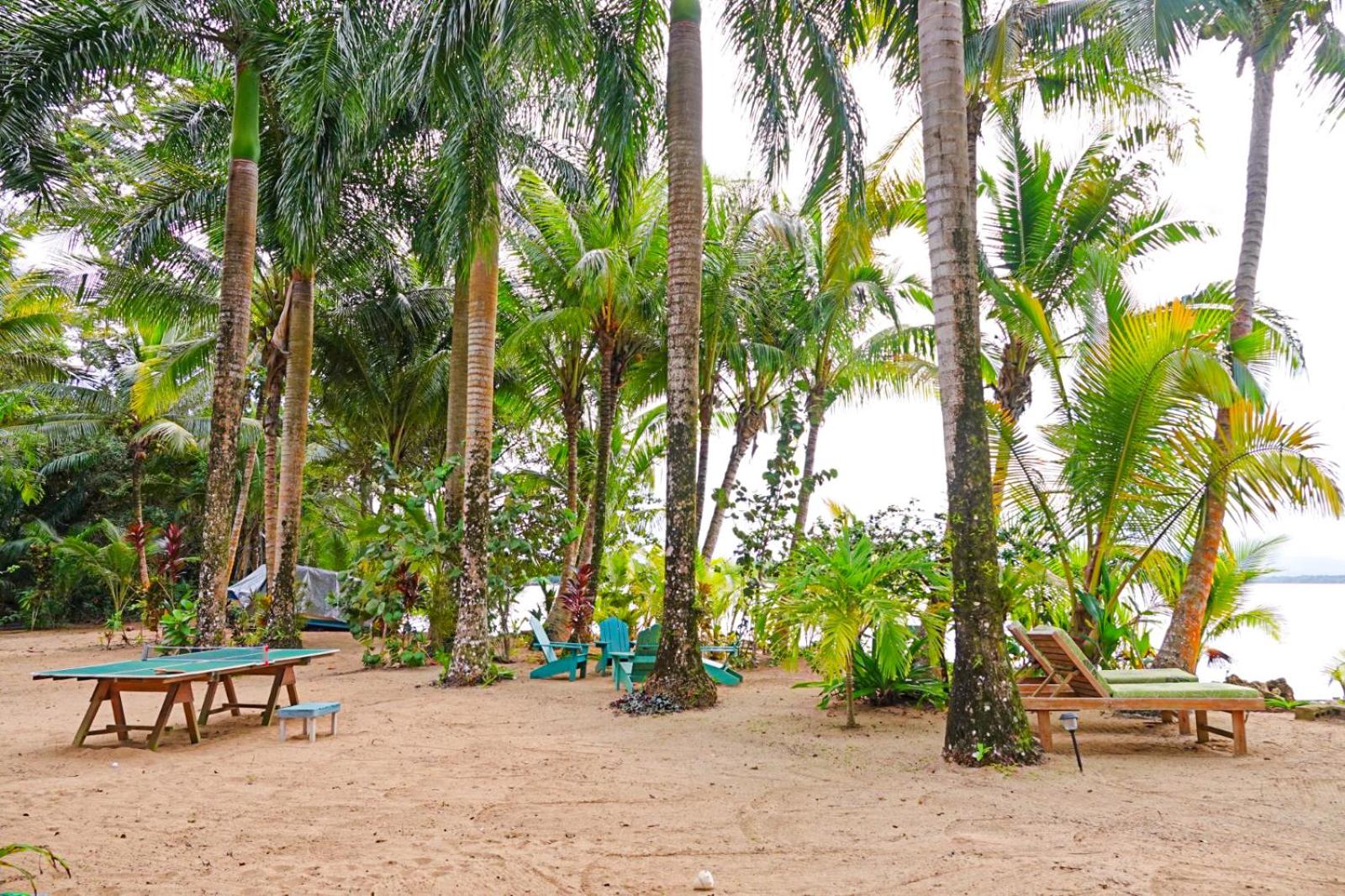 Tropical Paradise Beachfront & Jungle Home view 2