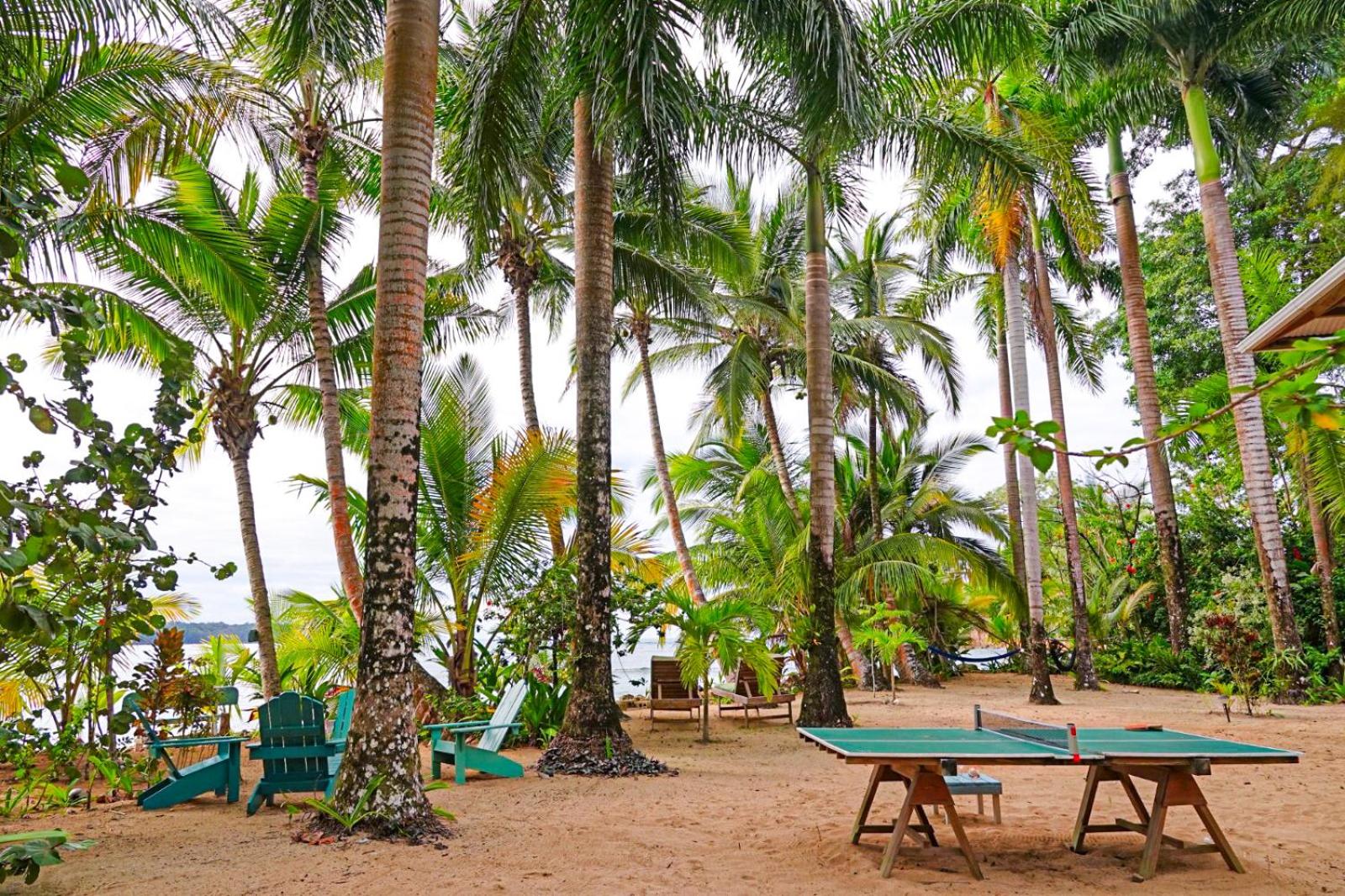 Tropical Paradise Beachfront & Jungle Home view 4