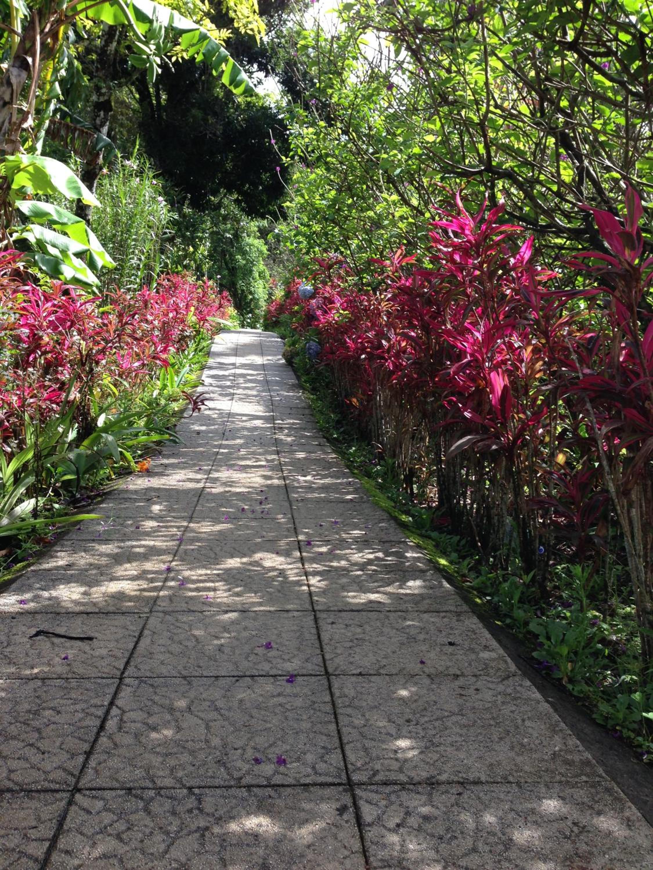 Elida Trails & Eco-Lodge